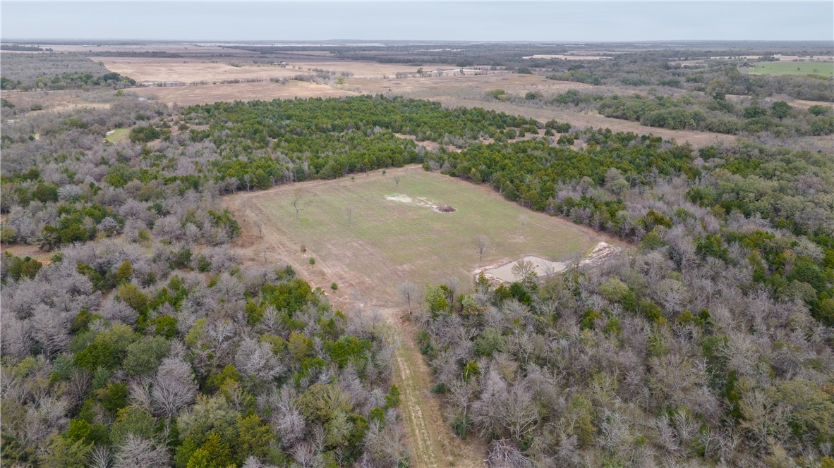 Thornton, Texas, 76687, United States, ,Land,For Sale,2003074