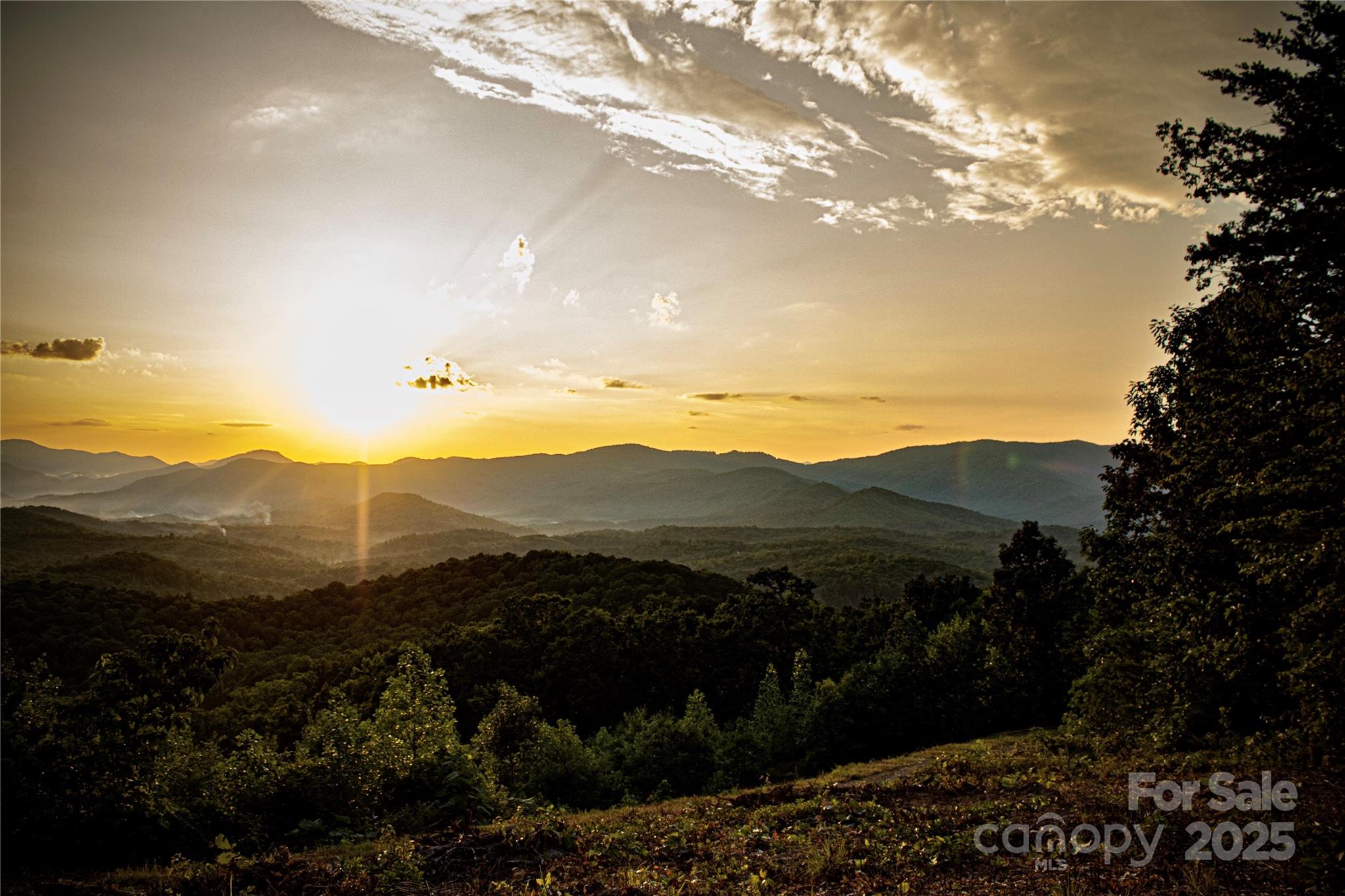 Union Mills, North Carolina, 28167, United States, ,Land,For Sale,2002557