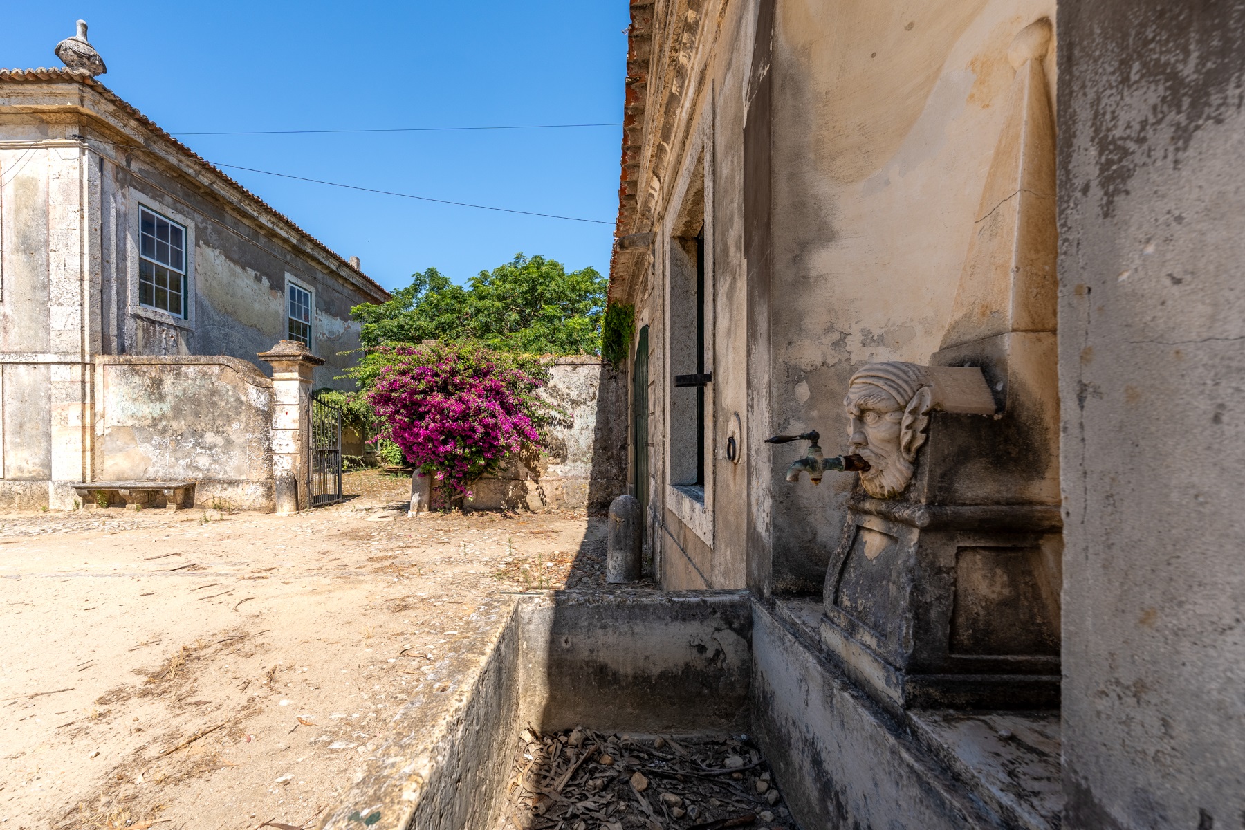  Farm, 12 bedrooms, for Sale - 物件實景