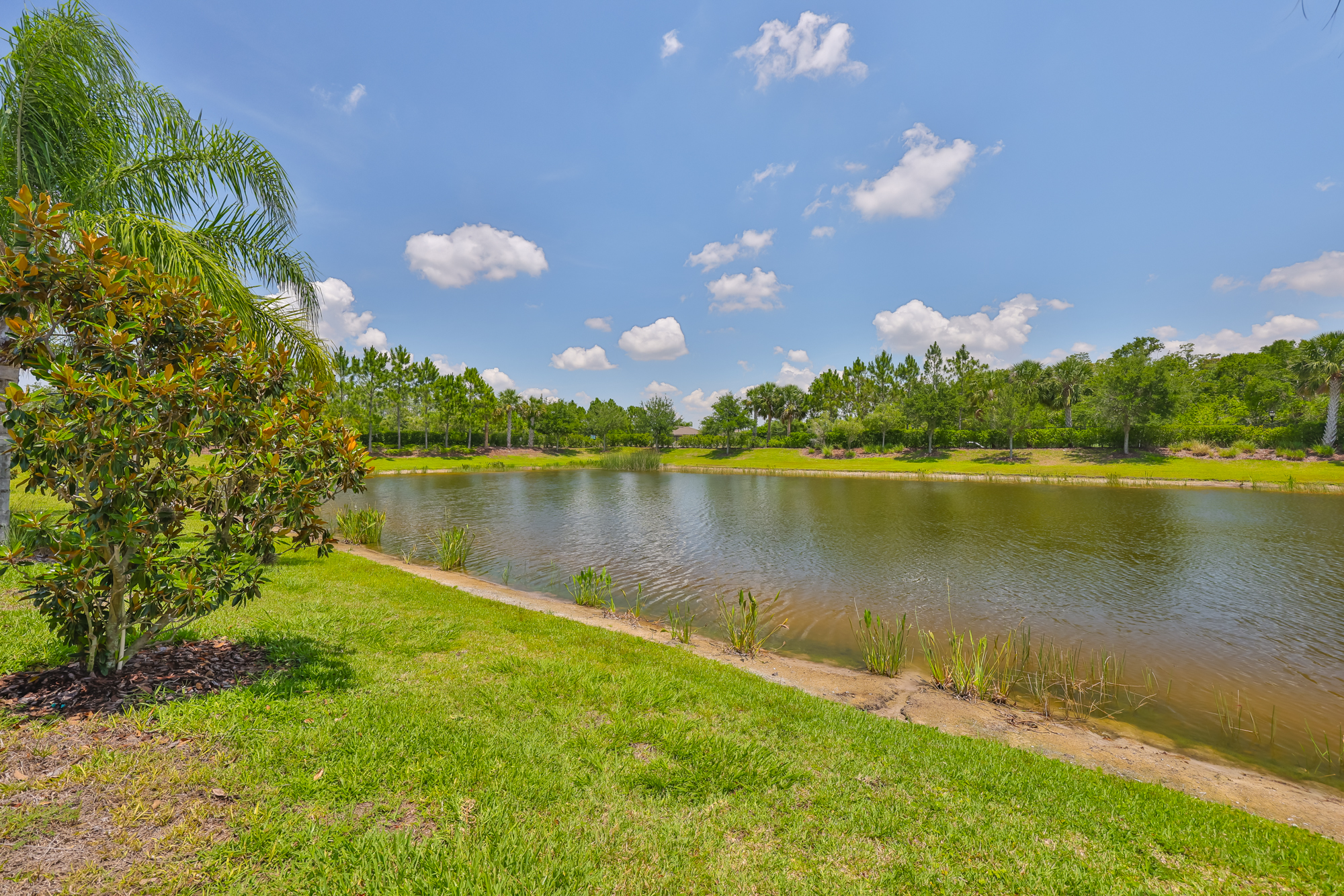 Wimauma, Florida, 33598, United States, 3 Bedrooms Bedrooms, ,3 BathroomsBathrooms,Residential,For Sale,1982600