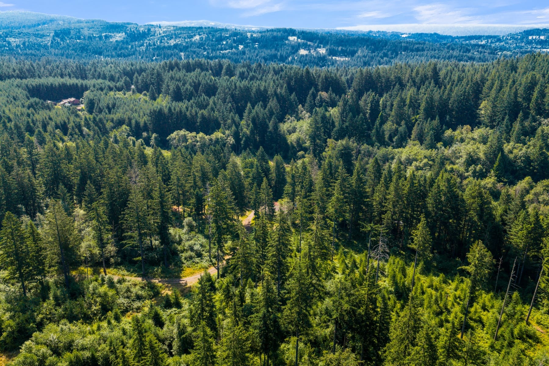  3832 NE CAVITT RD Camas, WA 98607 - 物件實景