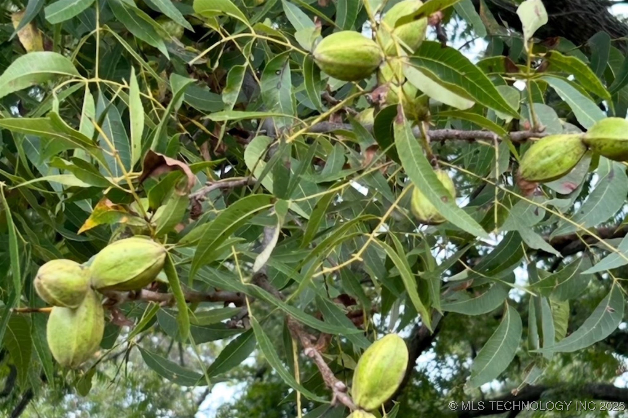 Mounds, Oklahoma, 74047, United States, 4 Bedrooms Bedrooms, ,6 BathroomsBathrooms,Residential,For Sale,1960960