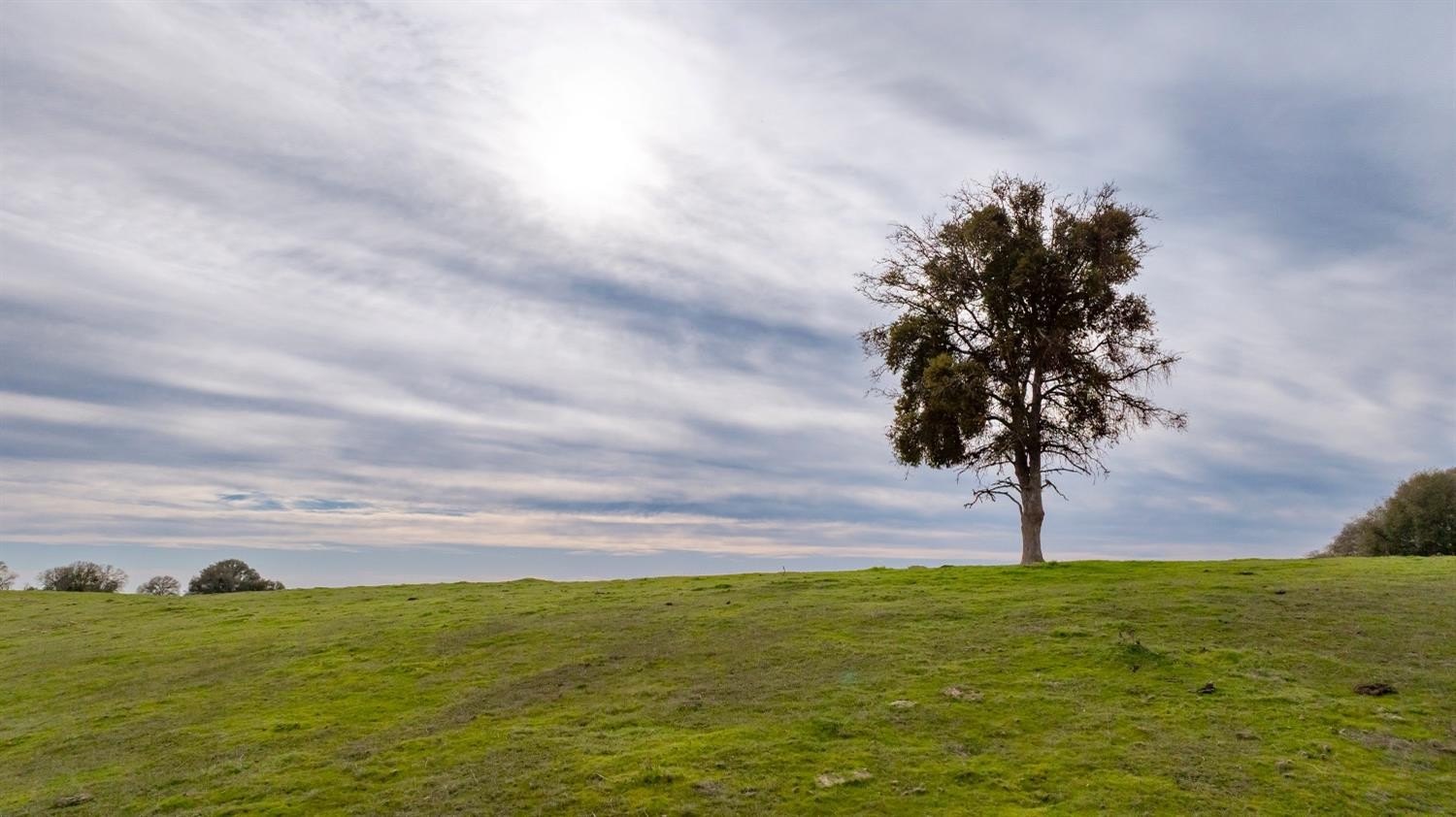 Burson, California, 95225, United States, ,Residential,For Sale,1880944
