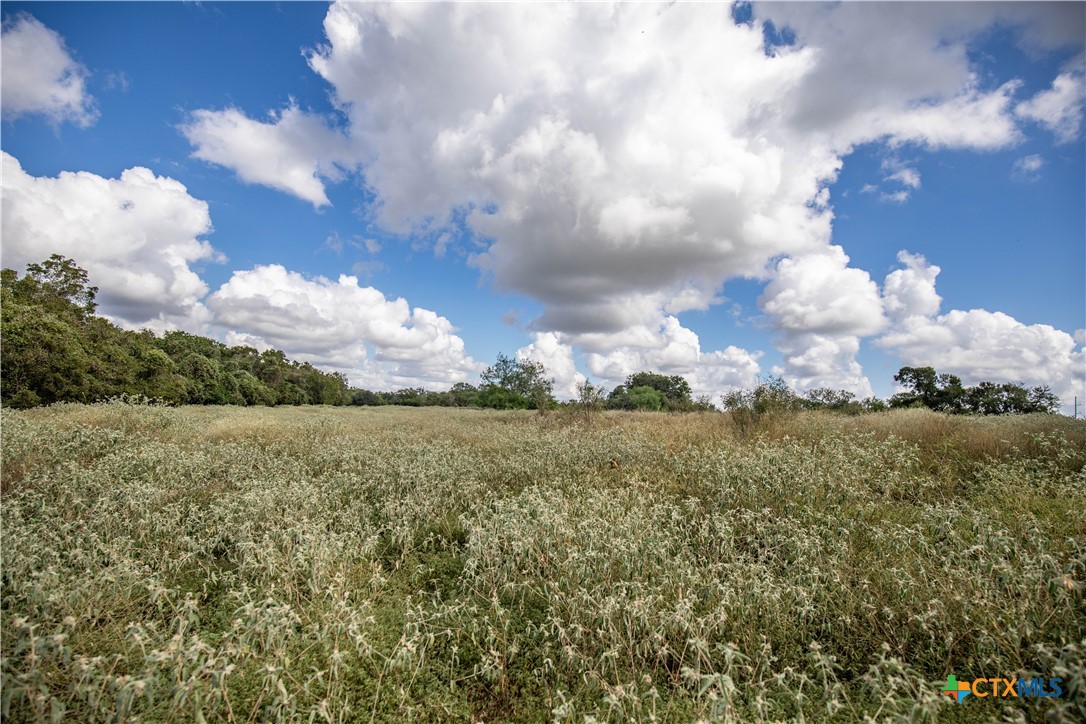 Cuero, Texas, 77954, United States, ,Residential,For Sale,1949163