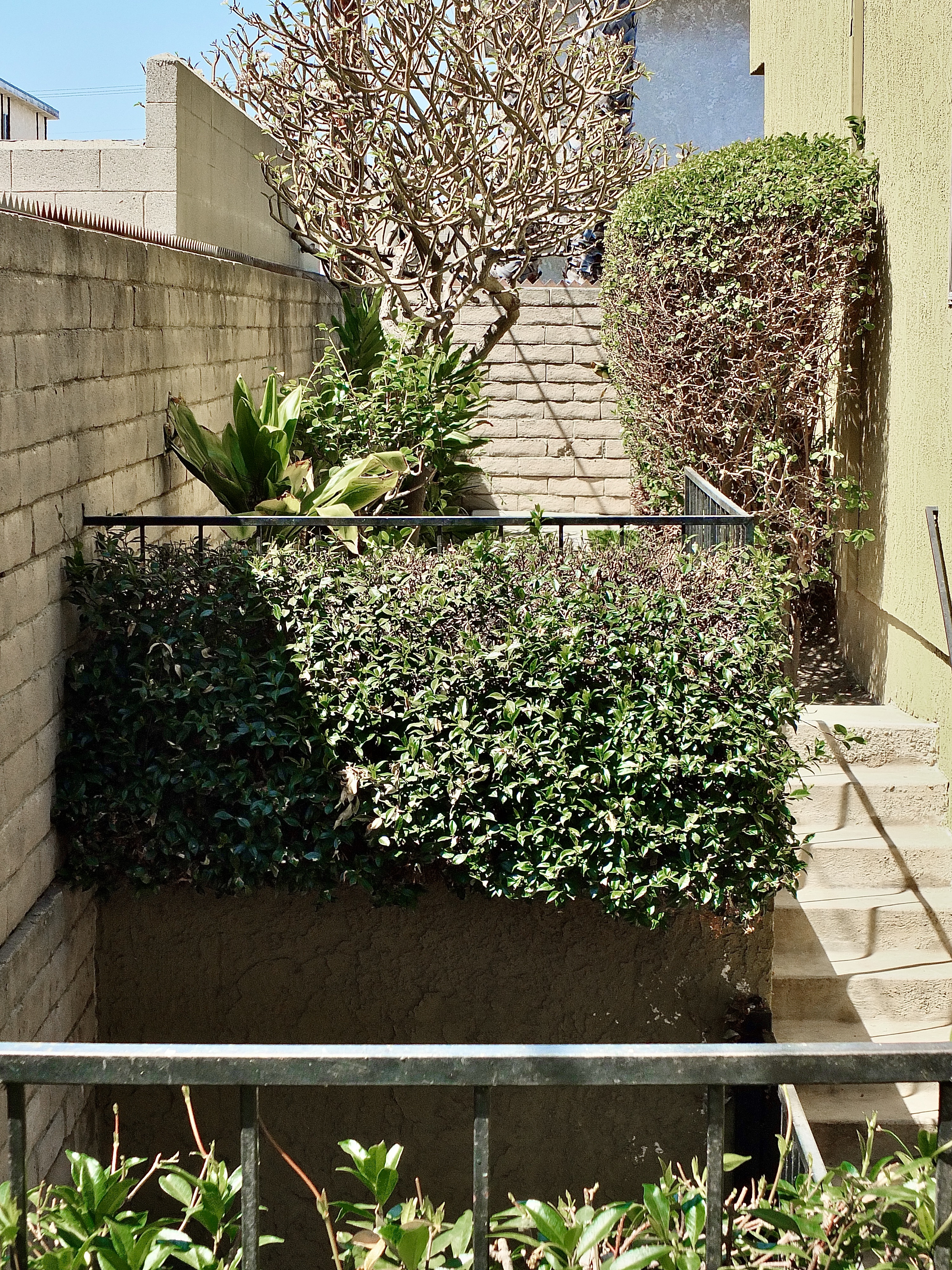 Gardena, California, 90247, United States, 2 Bedrooms Bedrooms, ,3 BathroomsBathrooms,Residential,For Sale,1905647