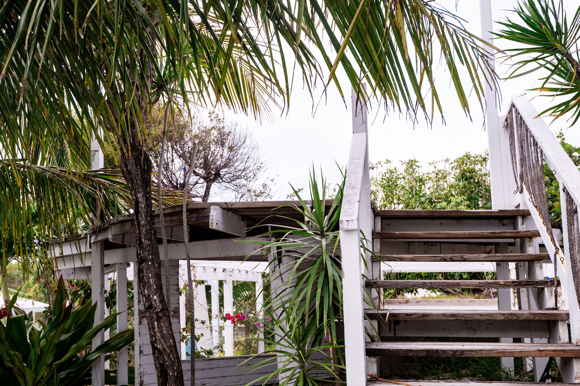  Elevated Beachside Homesite with Sunset View Potential - 物件實景