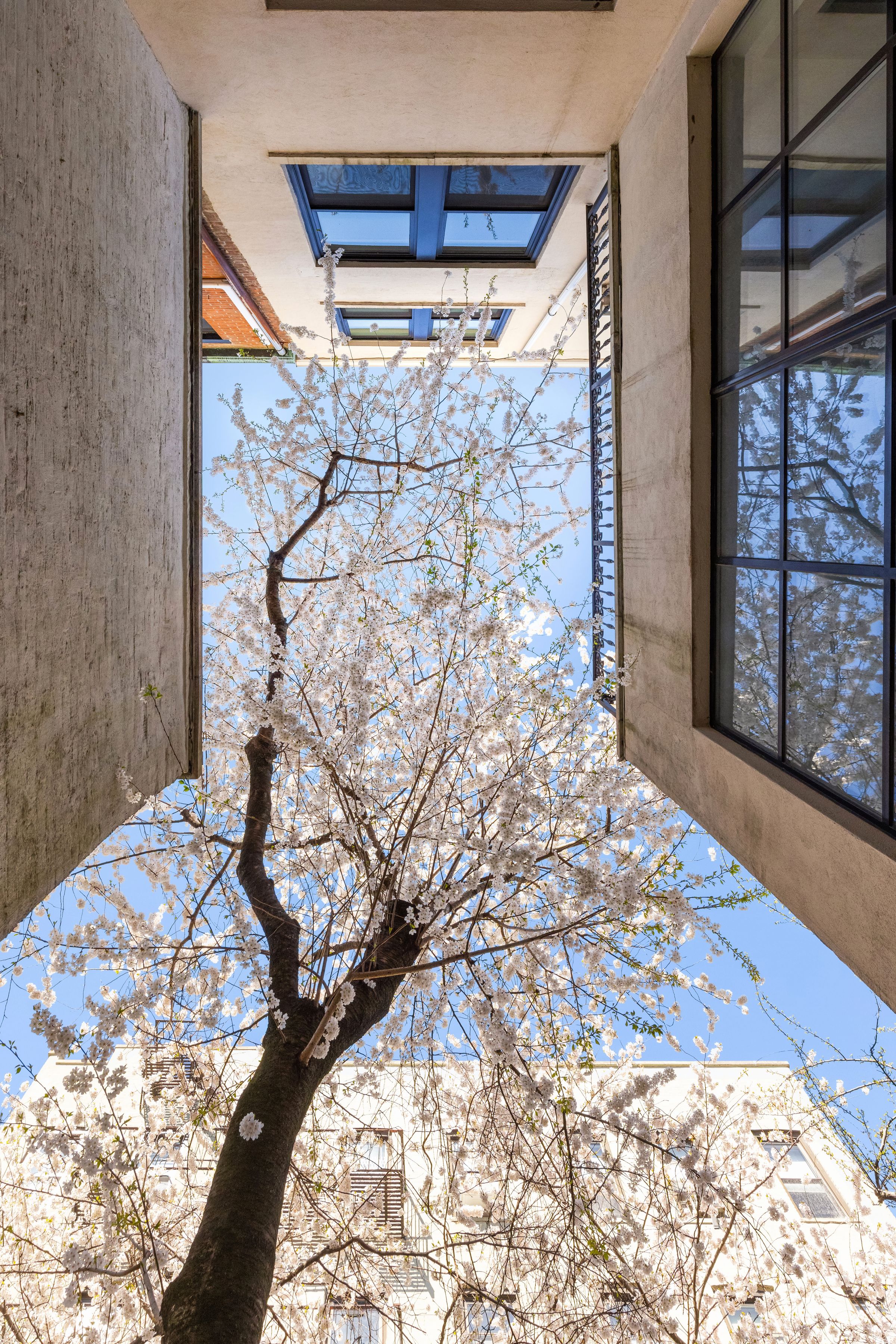  527 3rd Street - 物件實景