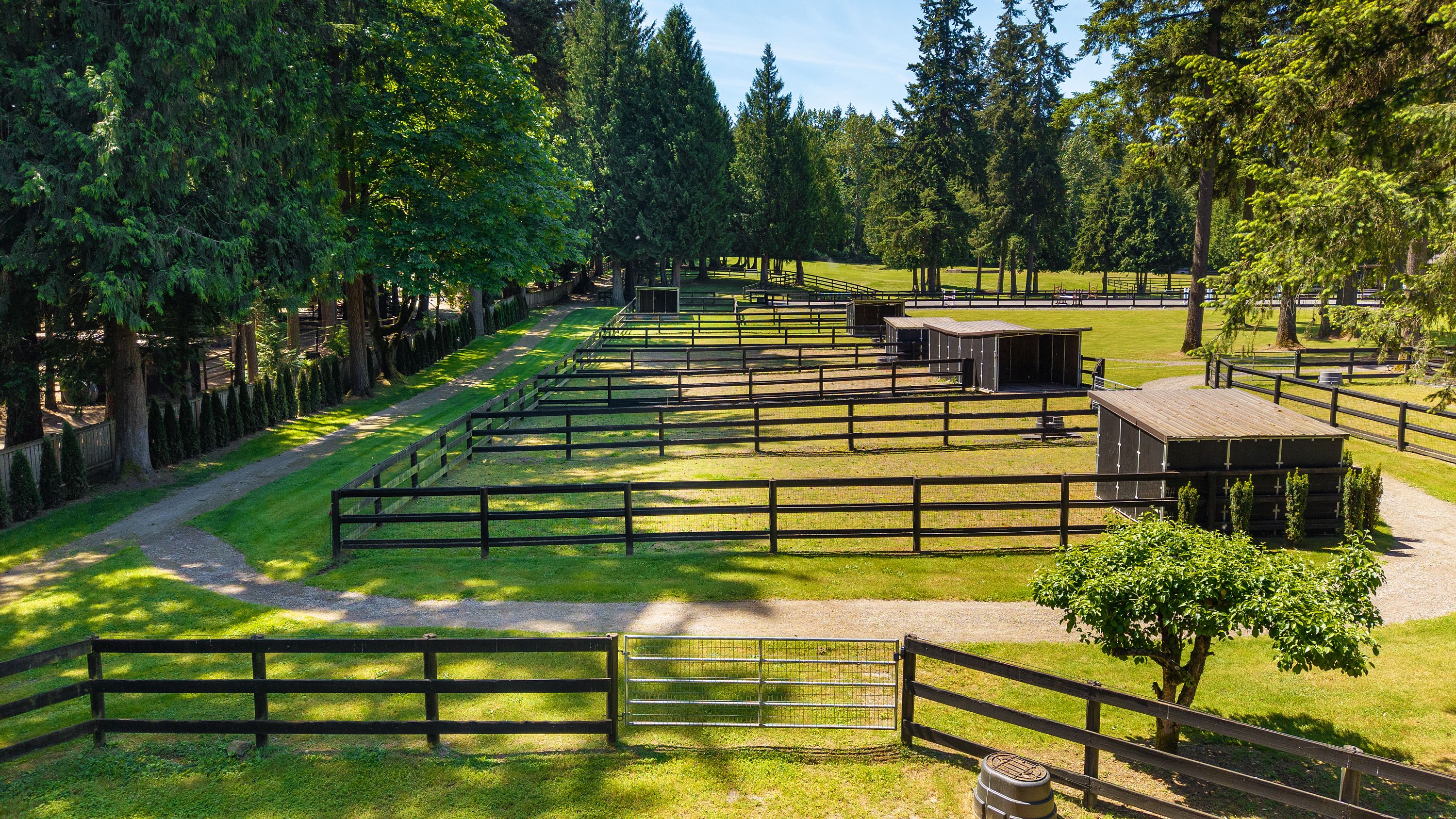  Koru Equestrian  A Legacy of Elegance & Equine Excellence - 物件實景