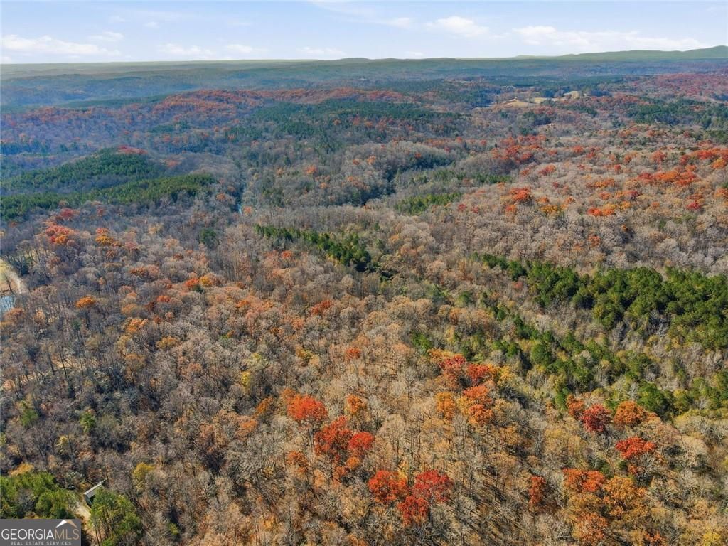 Jasper, Georgia, 30143, United States, ,Land,For Sale,1996551