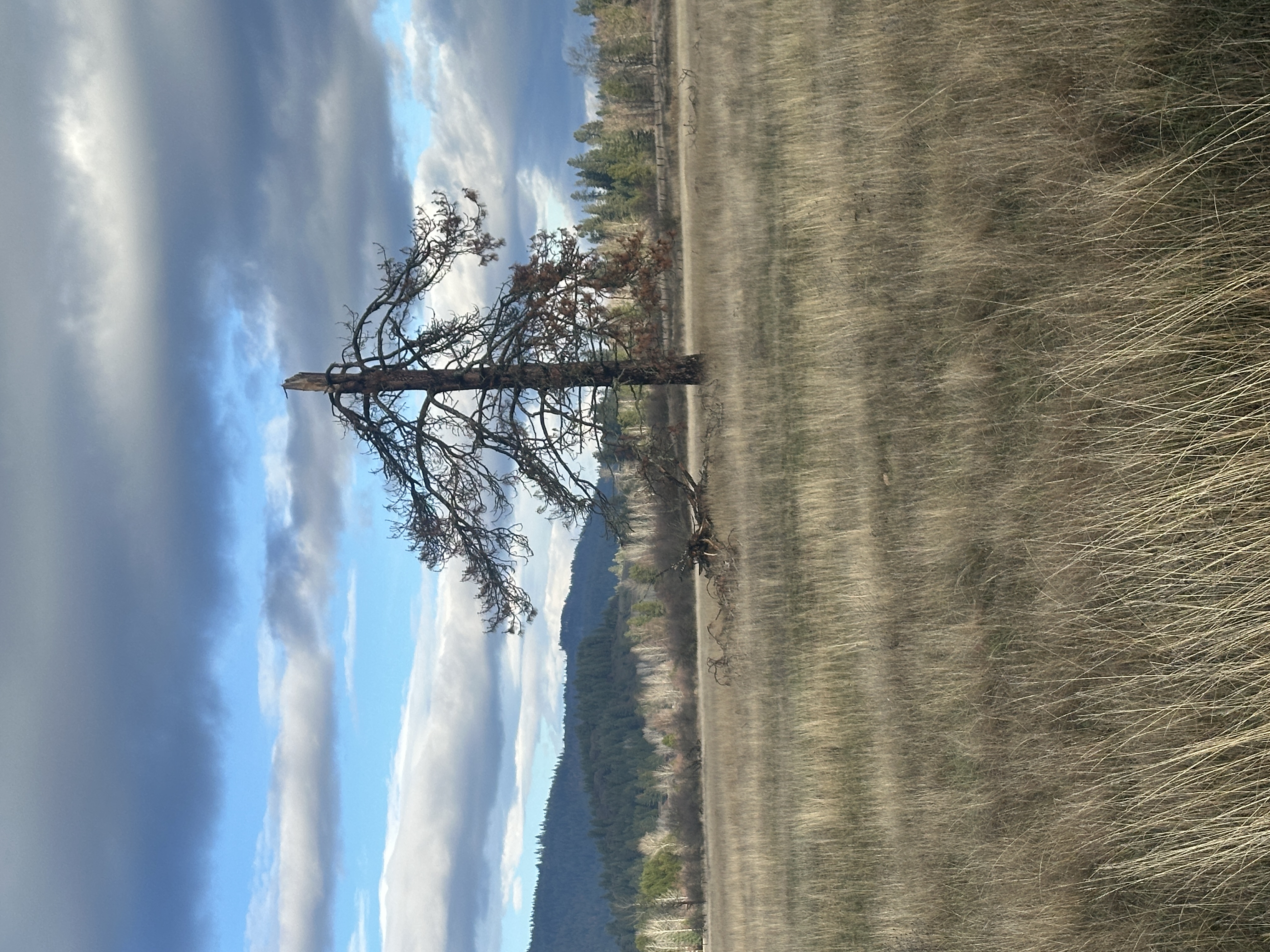 Priest River, Idaho, 83856, United States, ,Land,For Sale,2006127