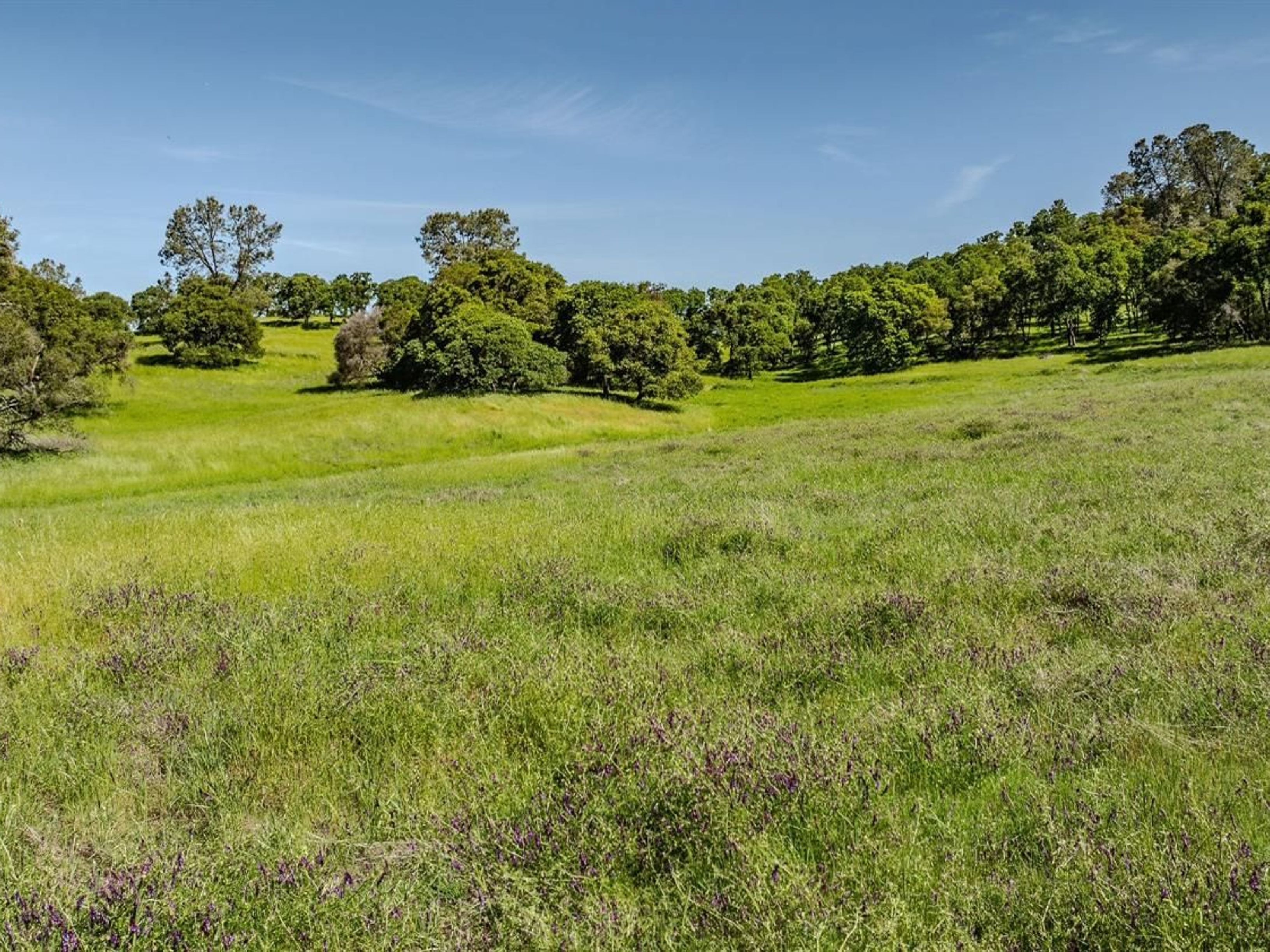  10865 Sunset Drive, Sutter Creek, CA 95685 - 物件實景