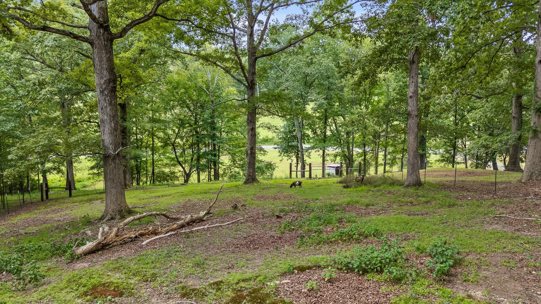 Dunlap, Tennessee, 37327, United States, 3 Bedrooms Bedrooms, ,2 BathroomsBathrooms,Residential,For Sale,1912691