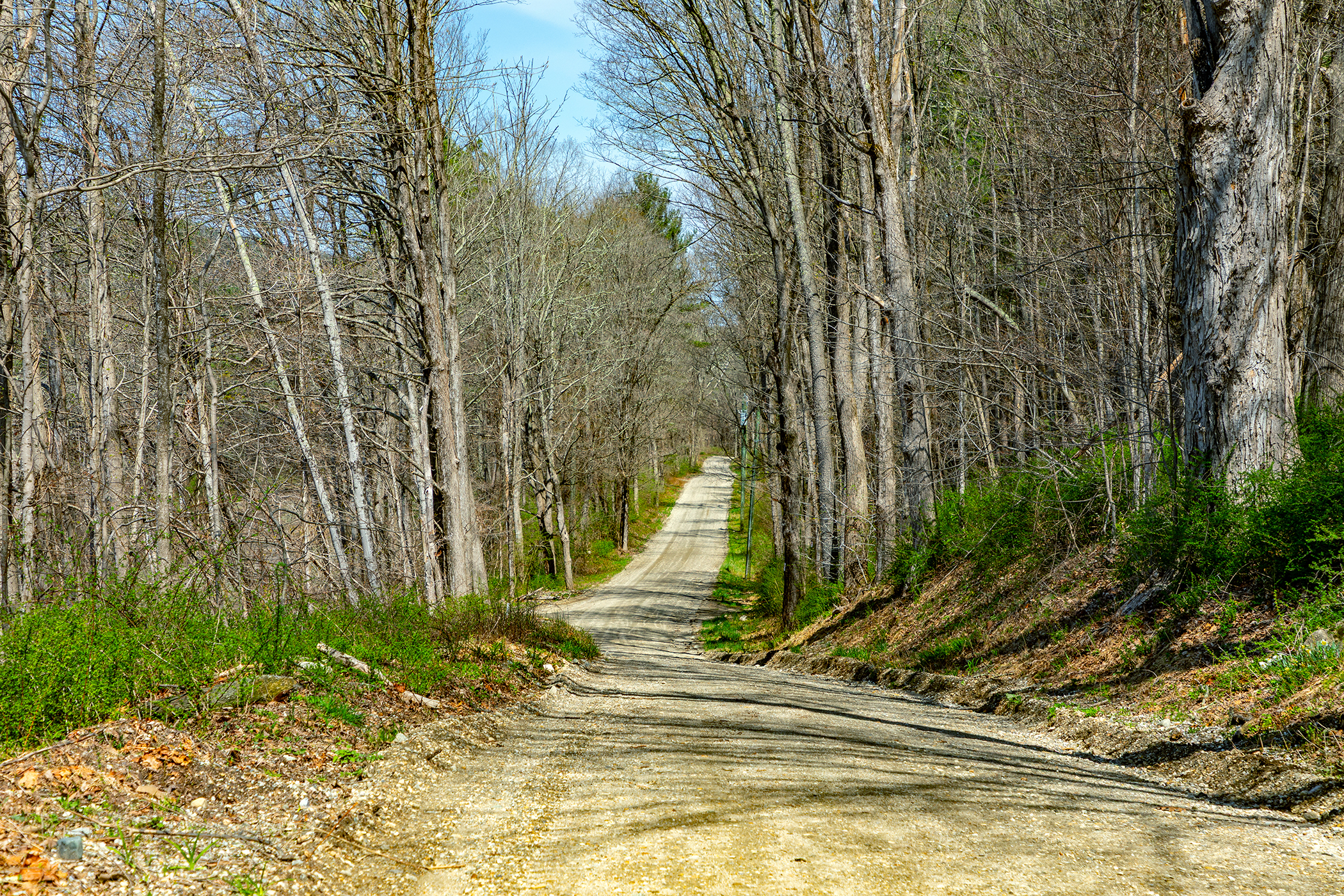  242 River Road - 物件實景