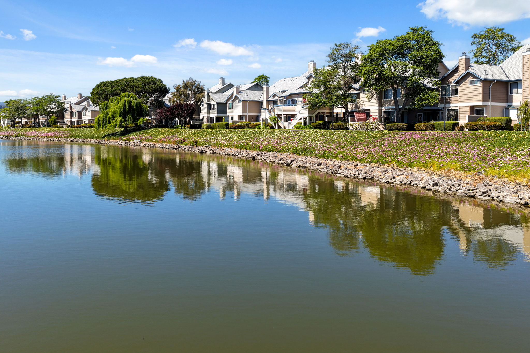  Waterfront Townhome-Style Condo - 物件實景
