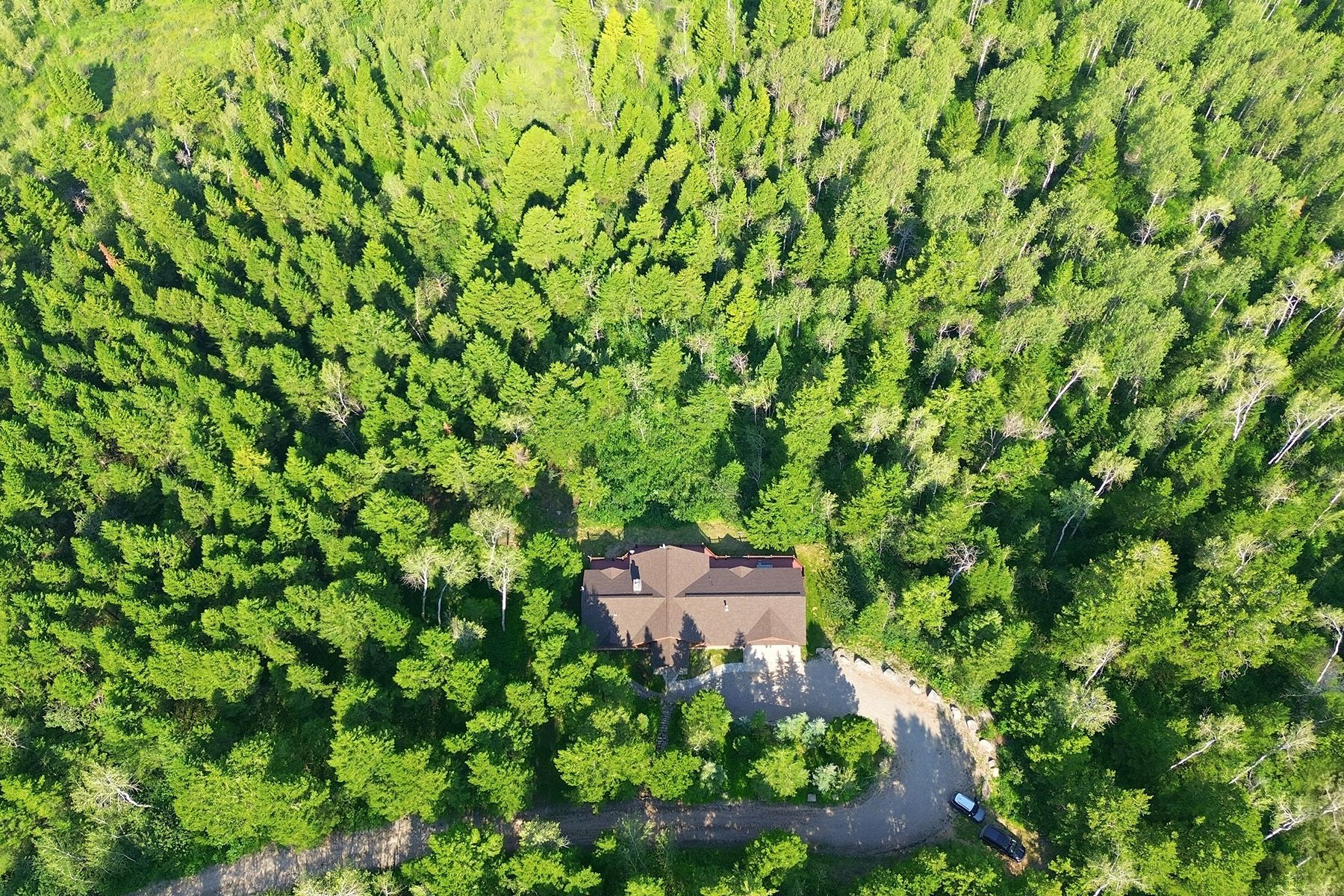  Sorensen Creek Drive - 物件實景