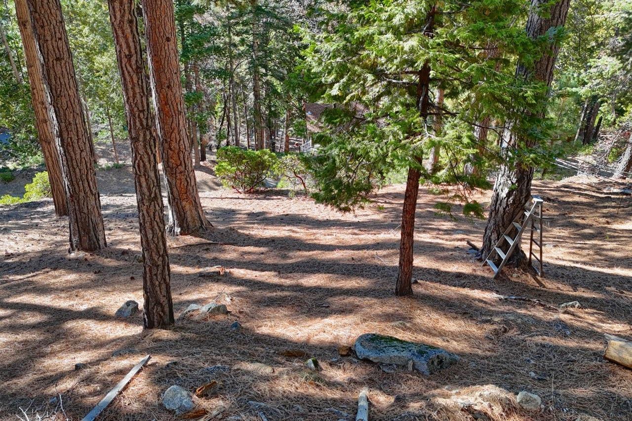 Yosemite West, California, 95389, United States, ,Residential,For Sale,1855046