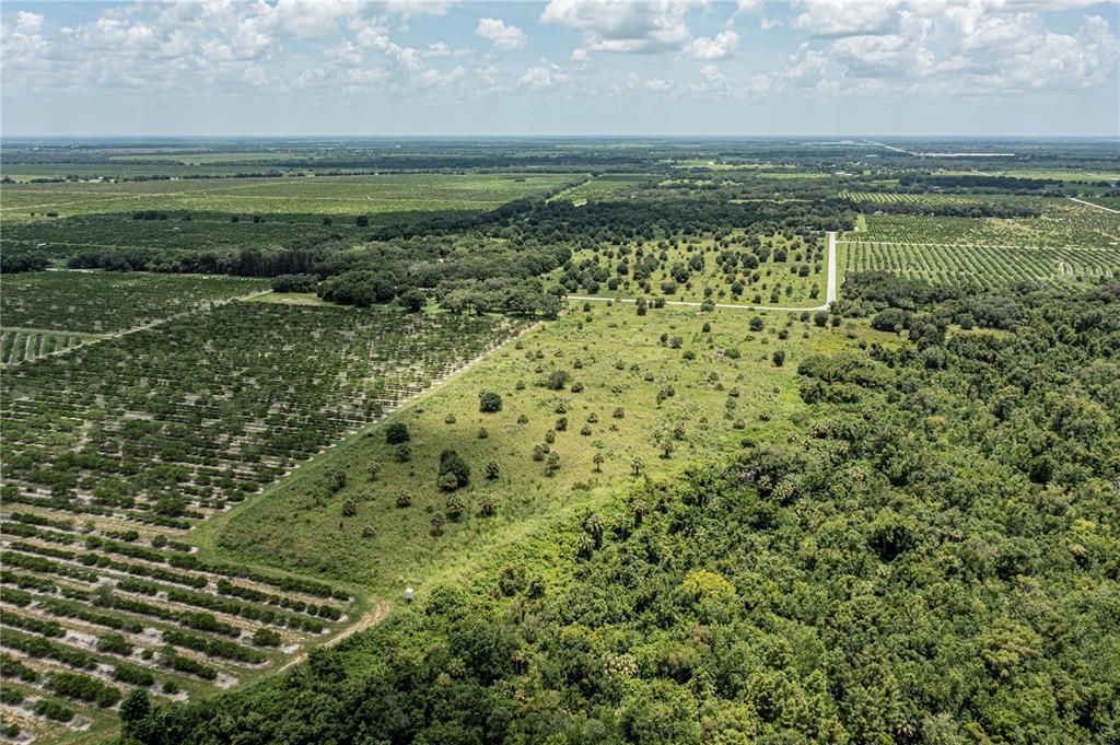 Arcadia, Florida, 34269, United States, ,Land,For Sale,1997252