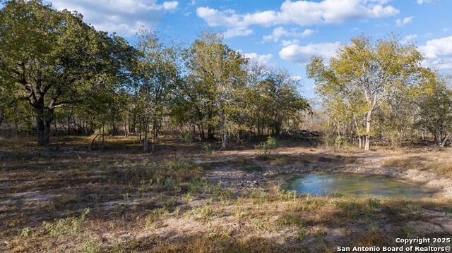 Other, 11111, United States, ,Land,For Sale,1951420