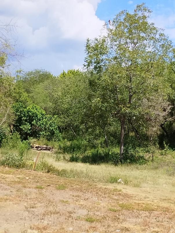 gonzalez, Santiago, Nuevo León, 67300, Mexico, 1 Bedroom Bedrooms, ,Residential,For Sale,gonzalez,1441494