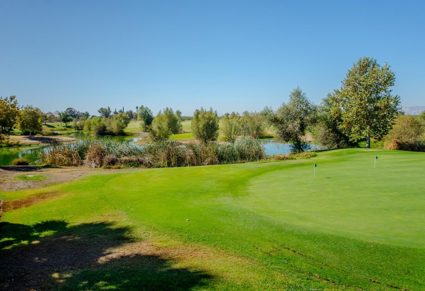  33203 Pintail Street, Woodland, CA 95695 - 物件實景