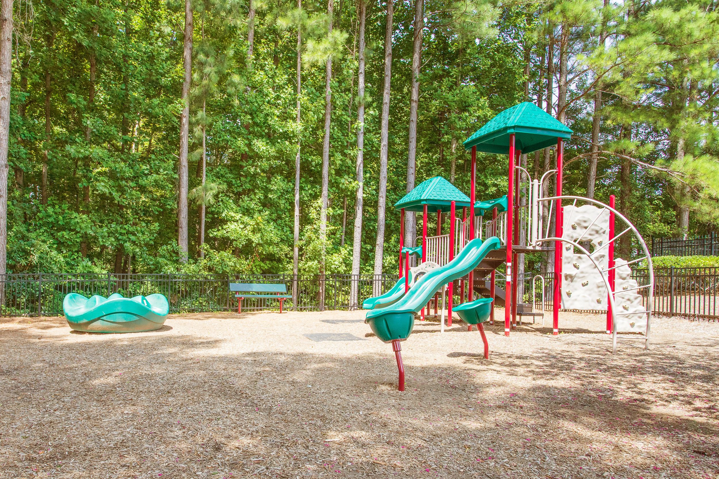  109 Bittercress Court, Cary, NC 27518 - 物件實景