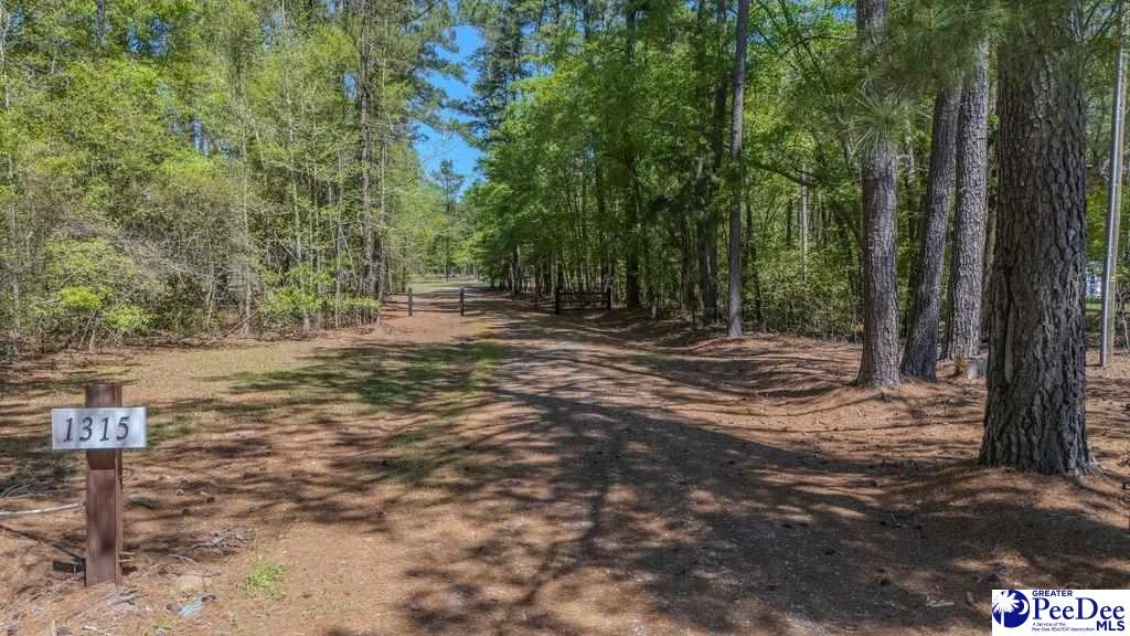 1315 Hill Harrell Road, Effingham, South Carolina, 29541-3179, United States, ,Land,For Sale,1315 Hill Harrell Road,1501598