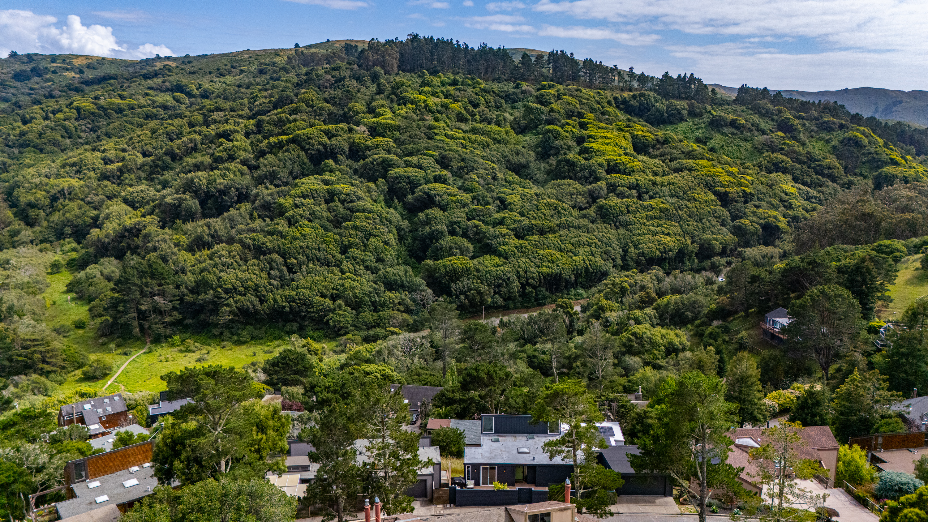  Contempary Hillside Living - 物件實景
