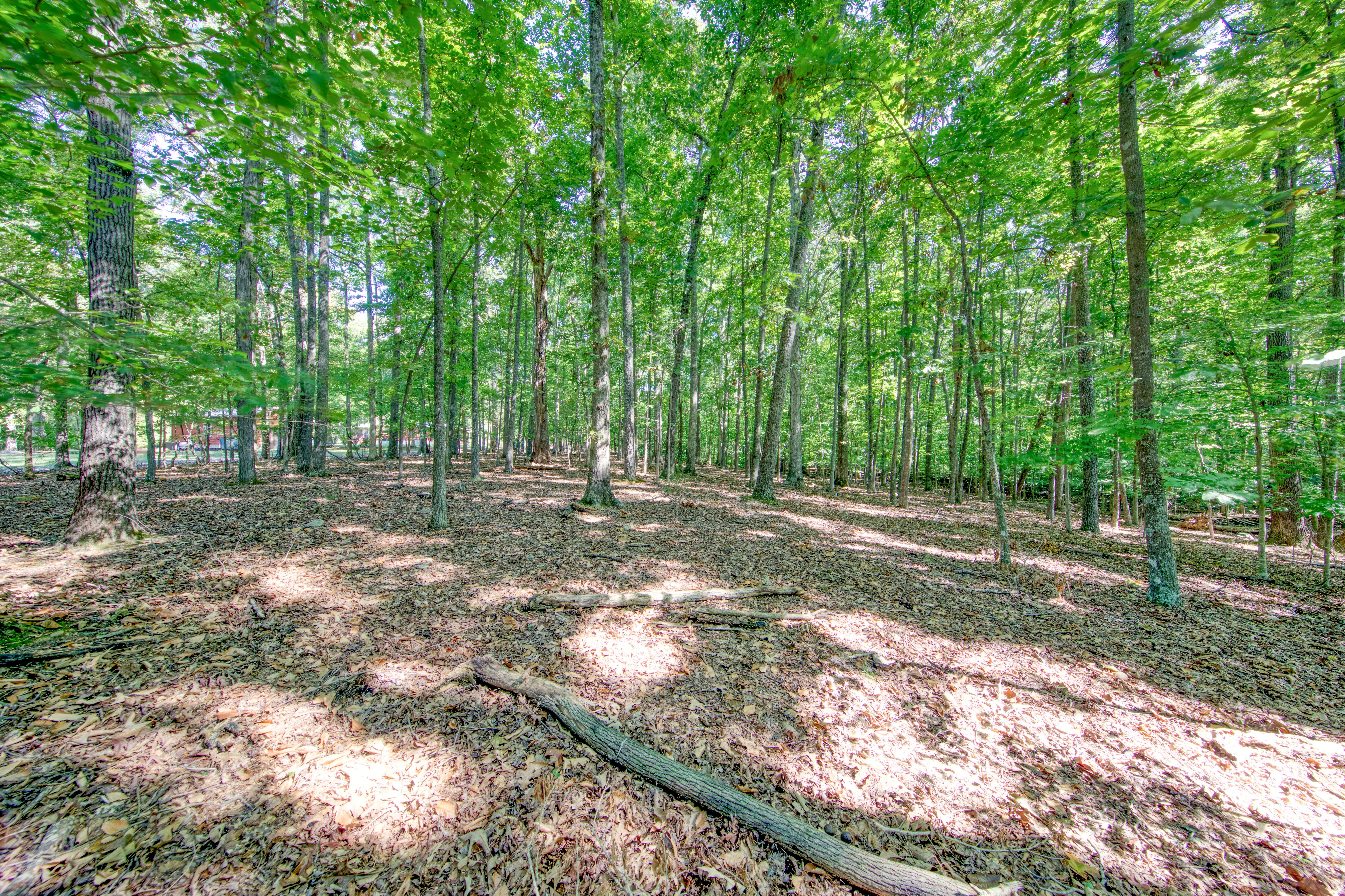  1549 Wise Way, Dandridge, TN 37725 - 物件實景