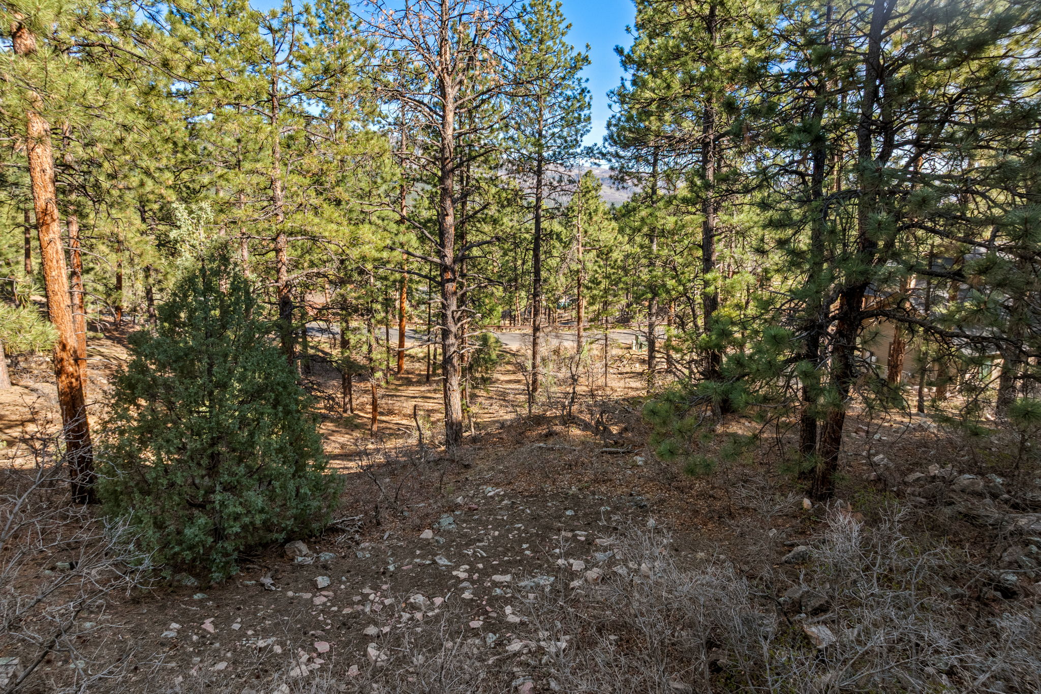  47 Ambush Canyon, Durango, CO 81301 - 物件實景
