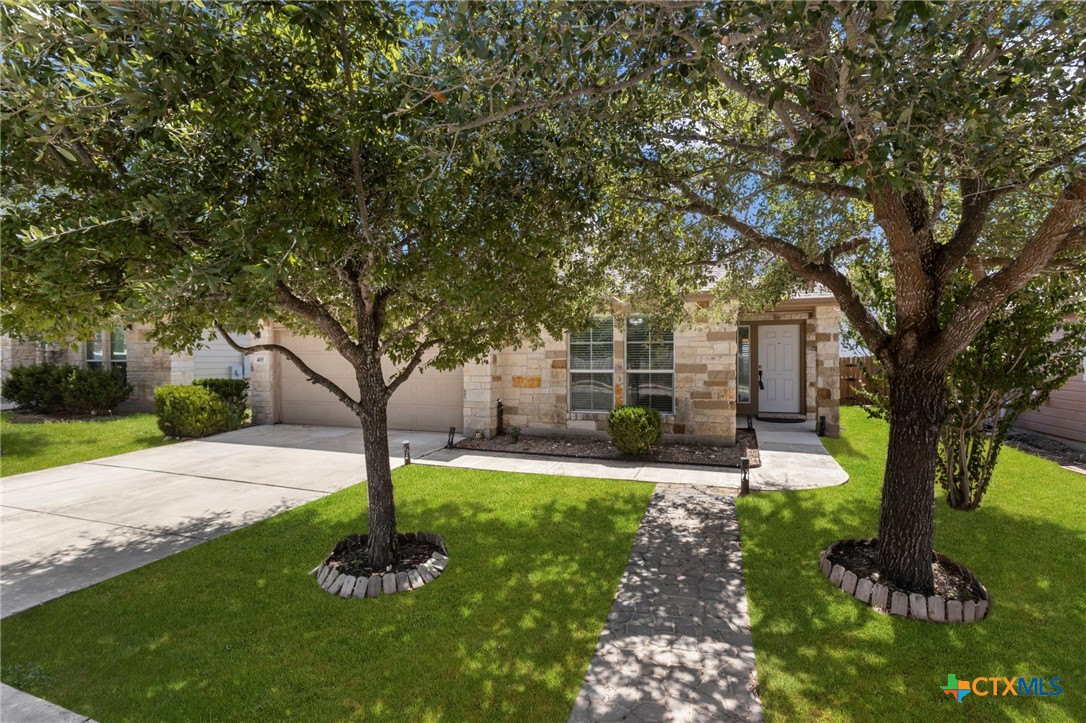 Teron Dr, San Marcos, TX 78666 #1