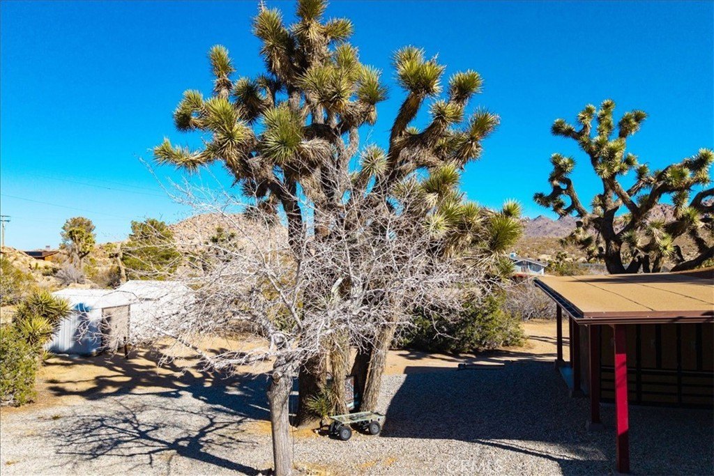 Joshua Tree, California, 92252, United States, 3 Bedrooms Bedrooms, ,2 BathroomsBathrooms,Residential,For Sale,1942307