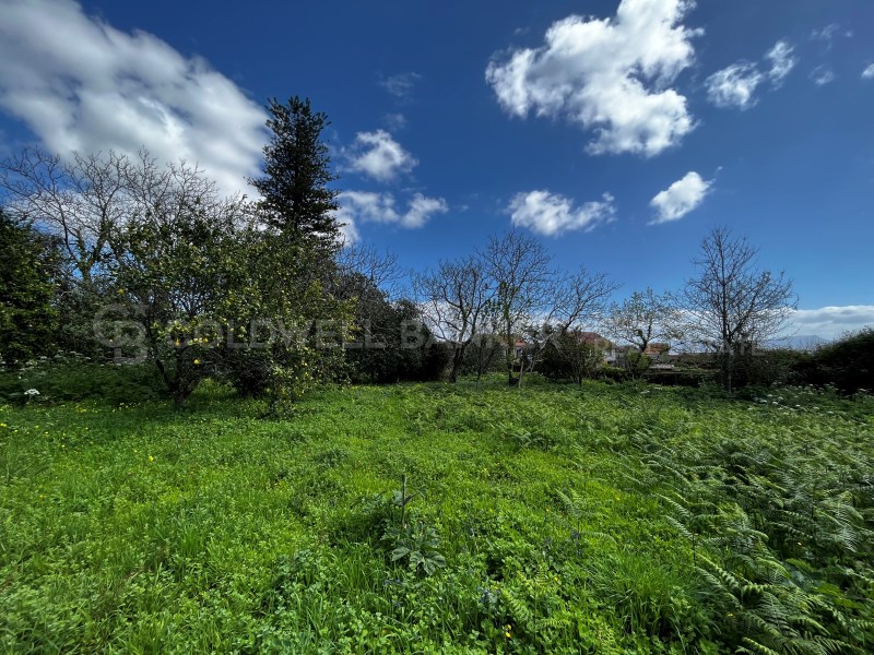 Pontevedra, Moa?a, Moa?a (San Marti?o P. E Virxe d, Moaña, Galicia, ES, 7 Bedrooms Bedrooms, ,2 BathroomsBathrooms,Residential,For Sale,Pontevedra, Moa?a, Moa?a (San Marti?o P. E Virxe d,1623275