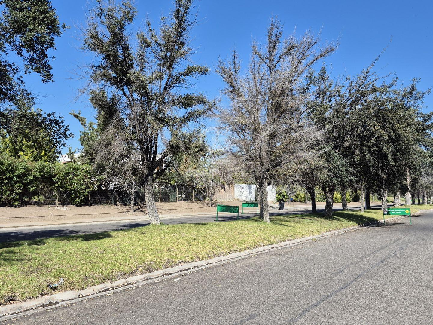 Colina, Chile, ,Land,For Sale,1954874