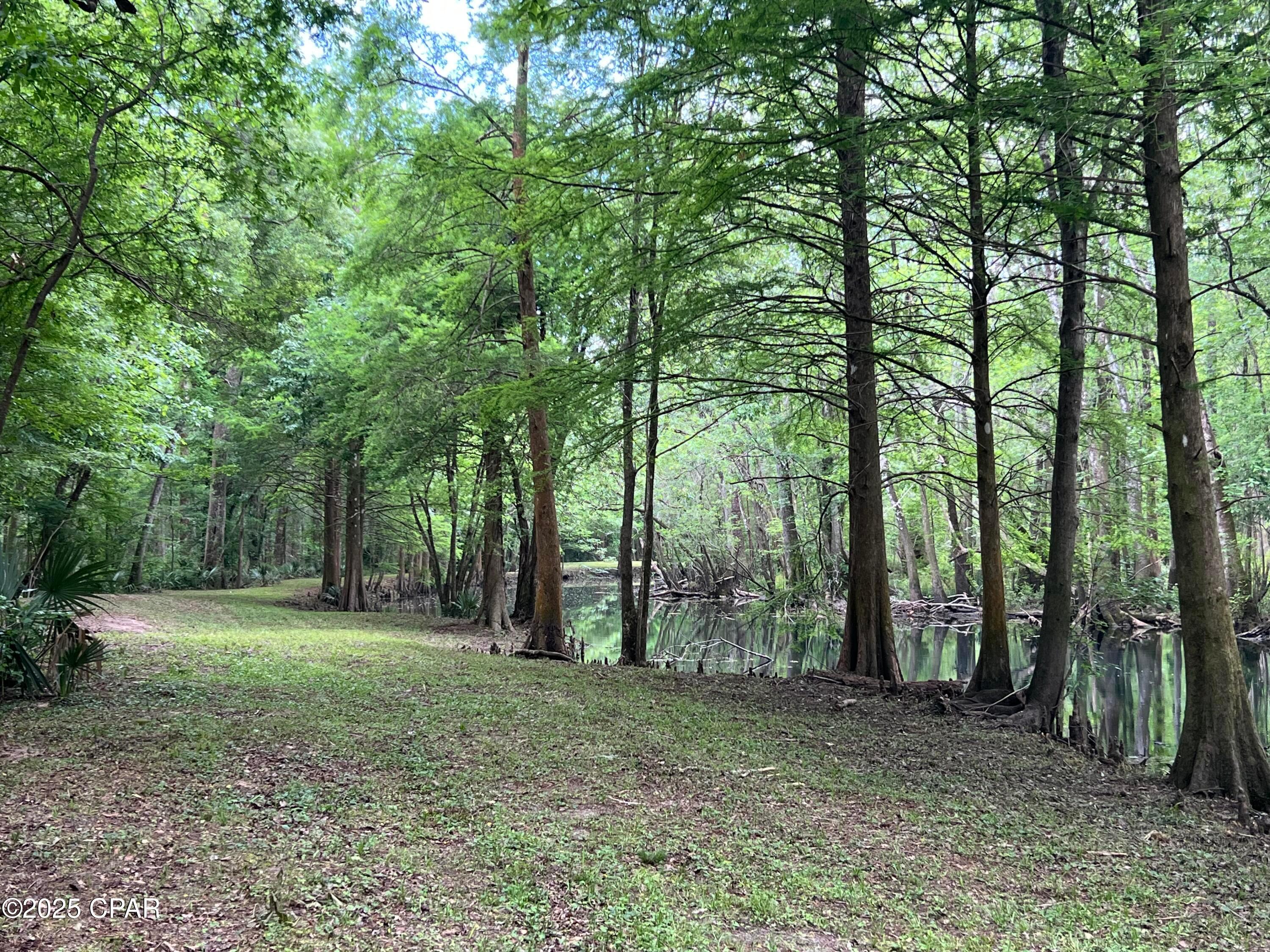 Vernon, Florida, 32462, United States, ,Residential,For Sale,1976647