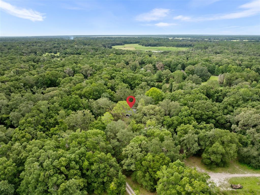 Archer, Florida, 32618, United States, 4 Bedrooms Bedrooms, ,3 BathroomsBathrooms,Residential,For Sale,1902642