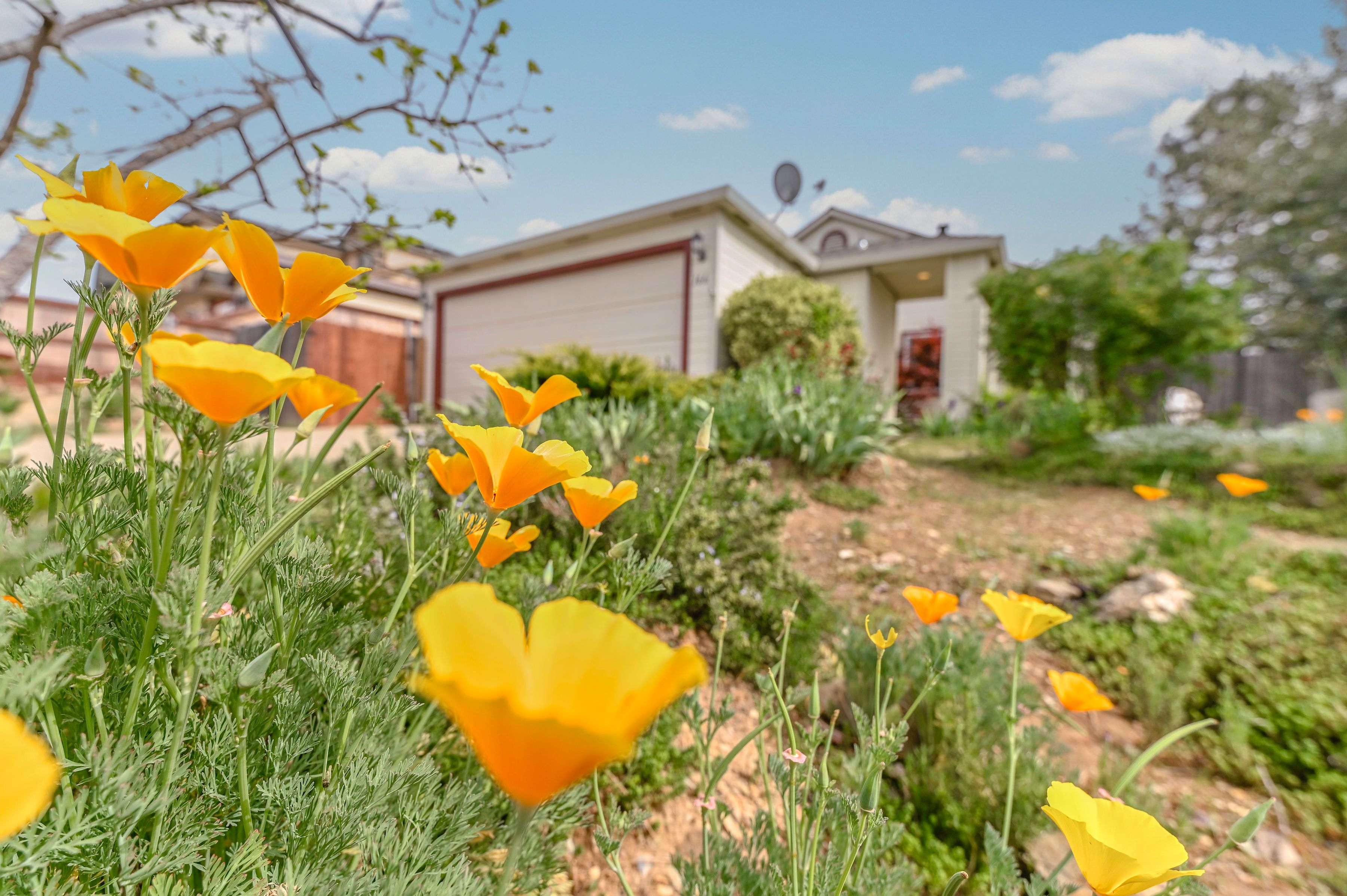  166 Placer Drive, Jackson, CA 95642 - 物件實景