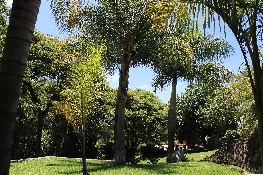 Malinalco, Estado de méxico, 52465, Mexico, 5 Bedrooms Bedrooms, ,6 BathroomsBathrooms,Residential,For Sale,1739306