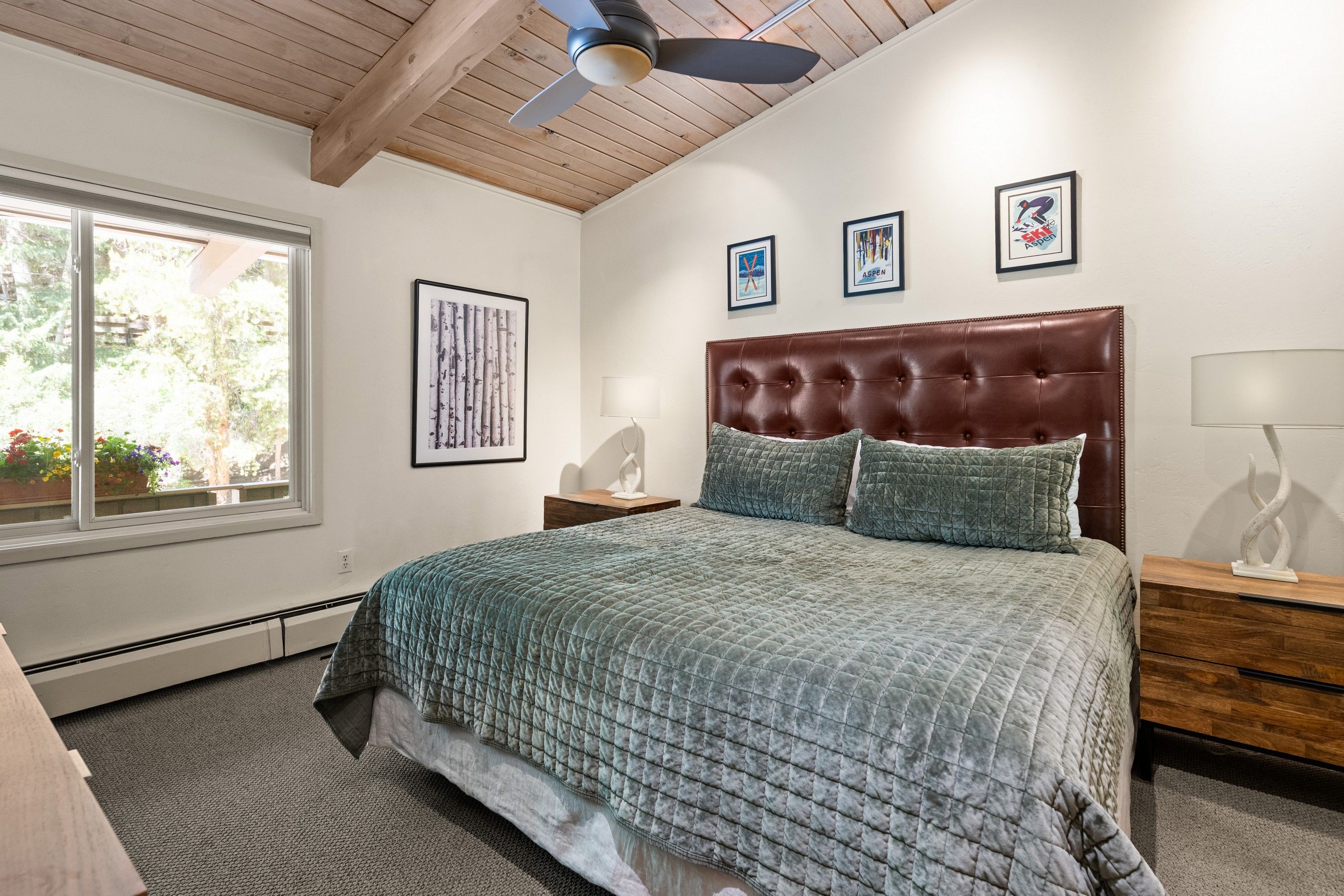  700 Ute Avenue, Aspen, CO, 81611 - 物件實景