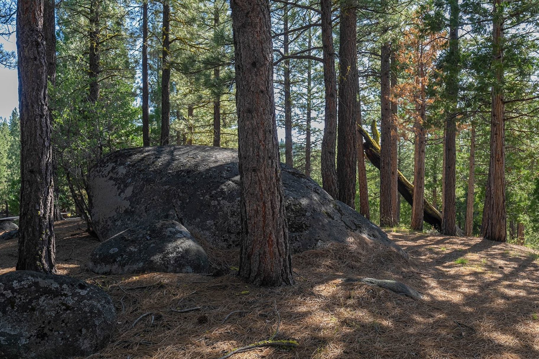  2.69 Private Acres in Nakoma with Stunning Eureka Peak Views - 物件實景