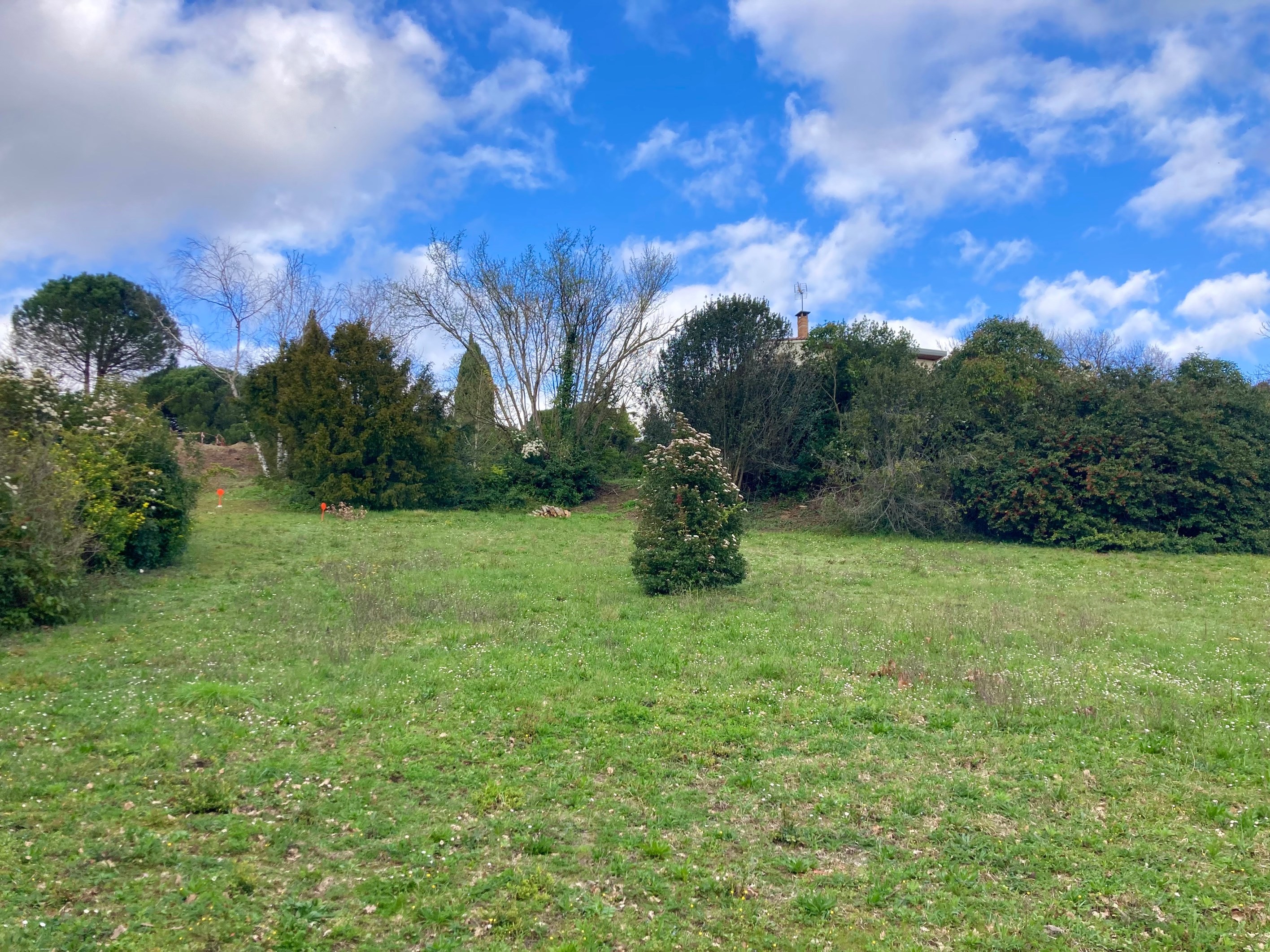  Terrain - 物件實景