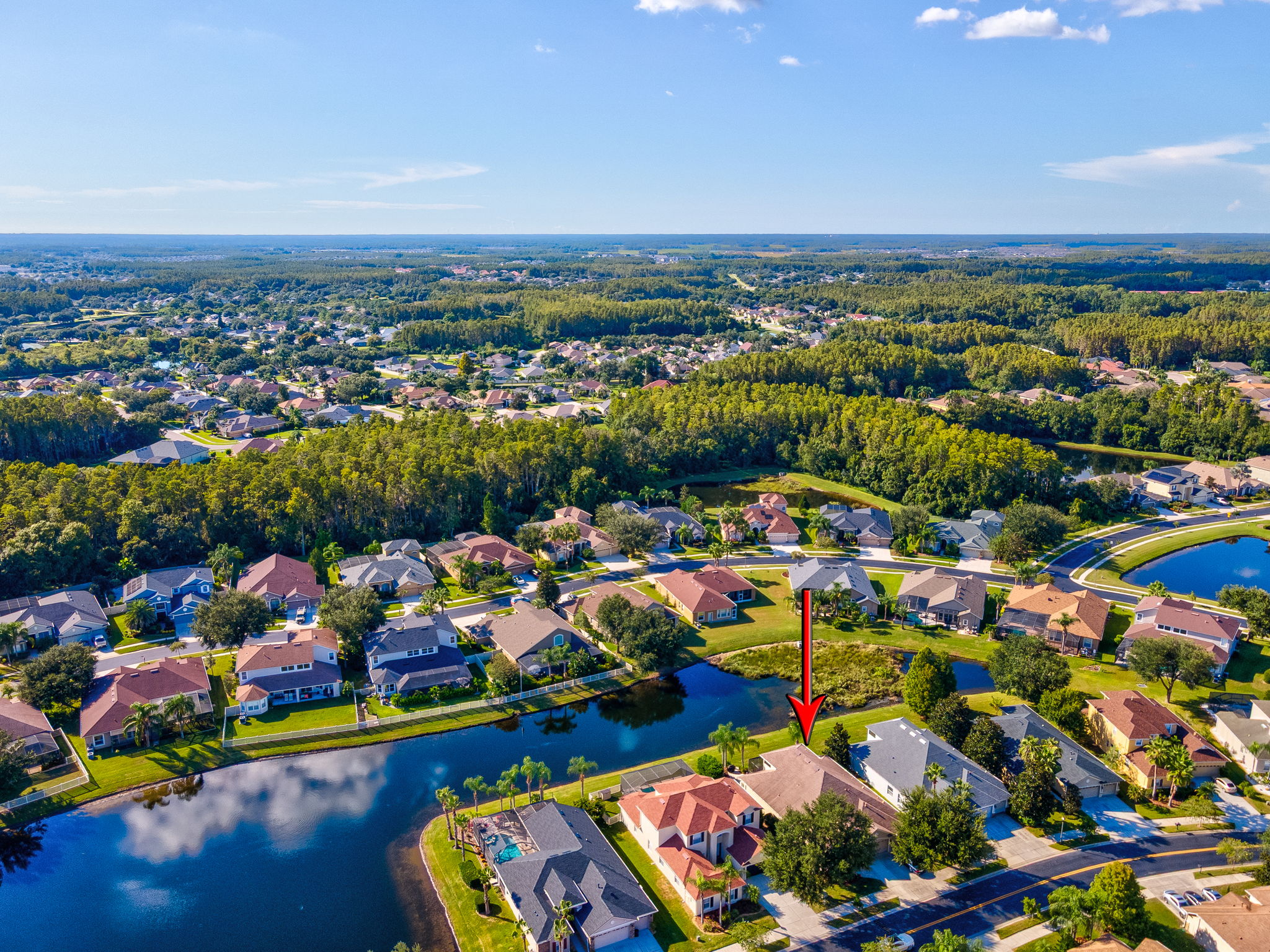 Land O Lakes, Florida, 34638, United States, 4 Bedrooms Bedrooms, ,4 BathroomsBathrooms,Residential,For Sale,1973686