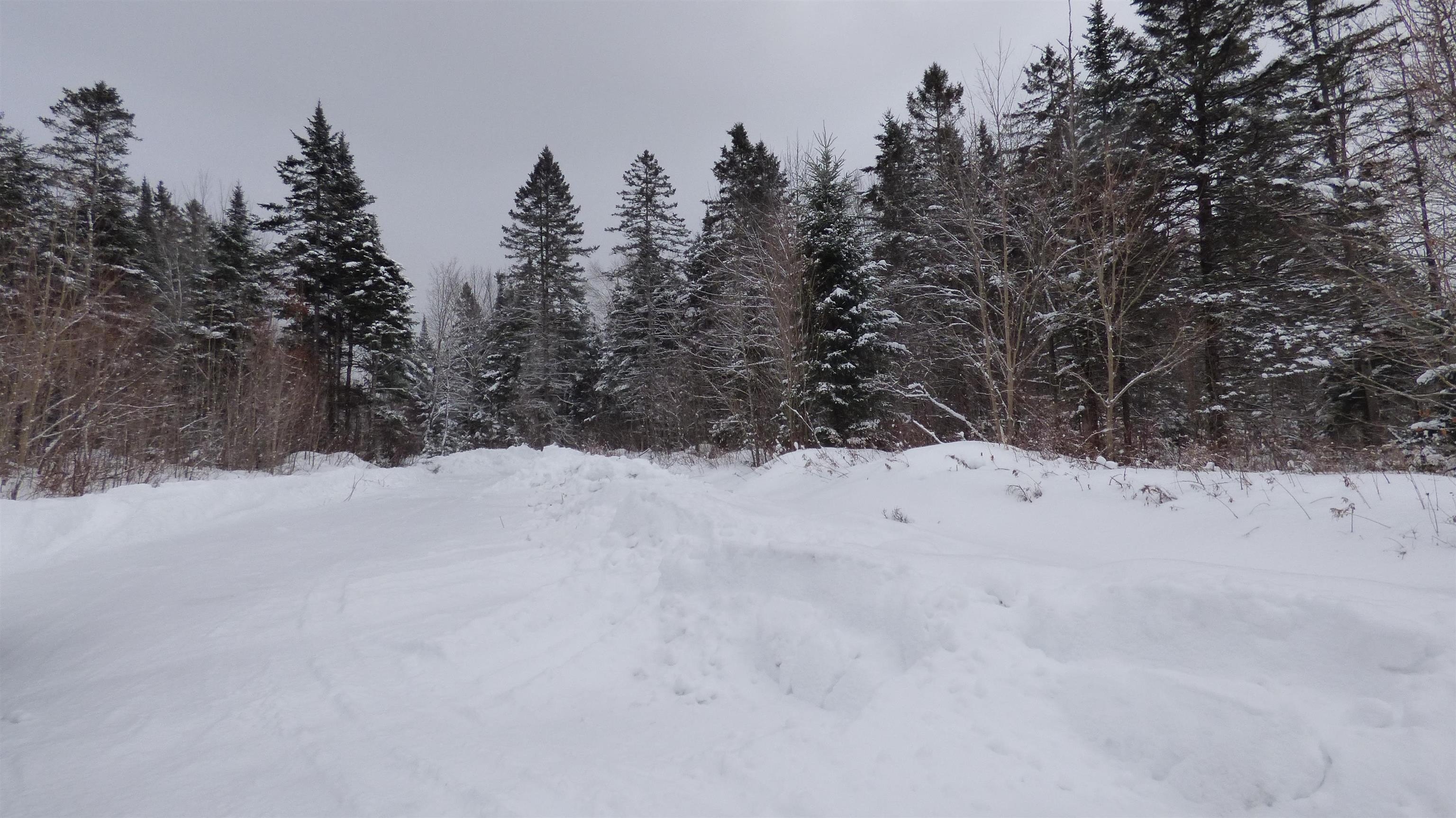 Wheelock, Vermont, 05851, United States, ,Land,For Sale,2017669