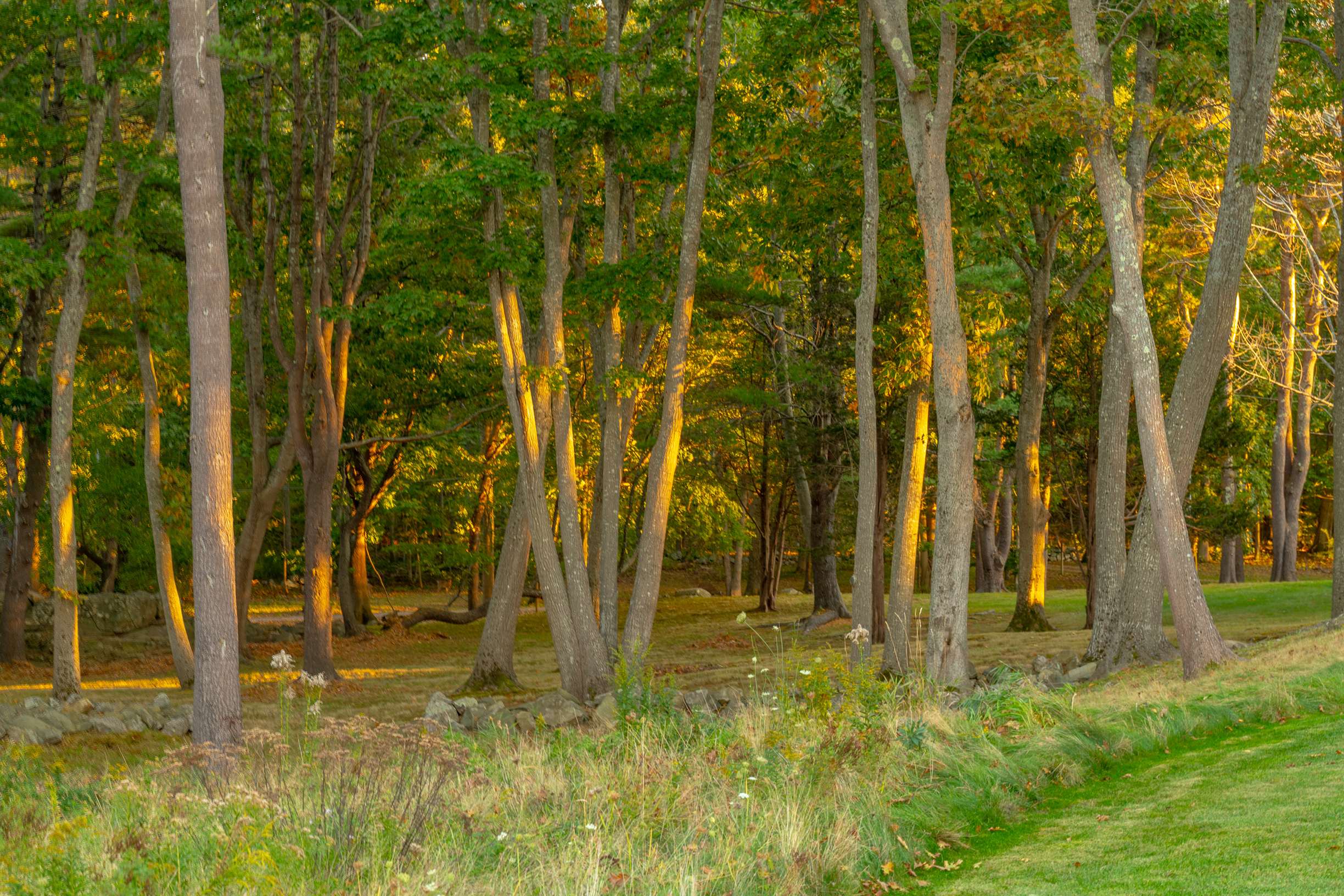  Exquisite York Harborfront Modern Residence on 6+ Acres - 物件實景