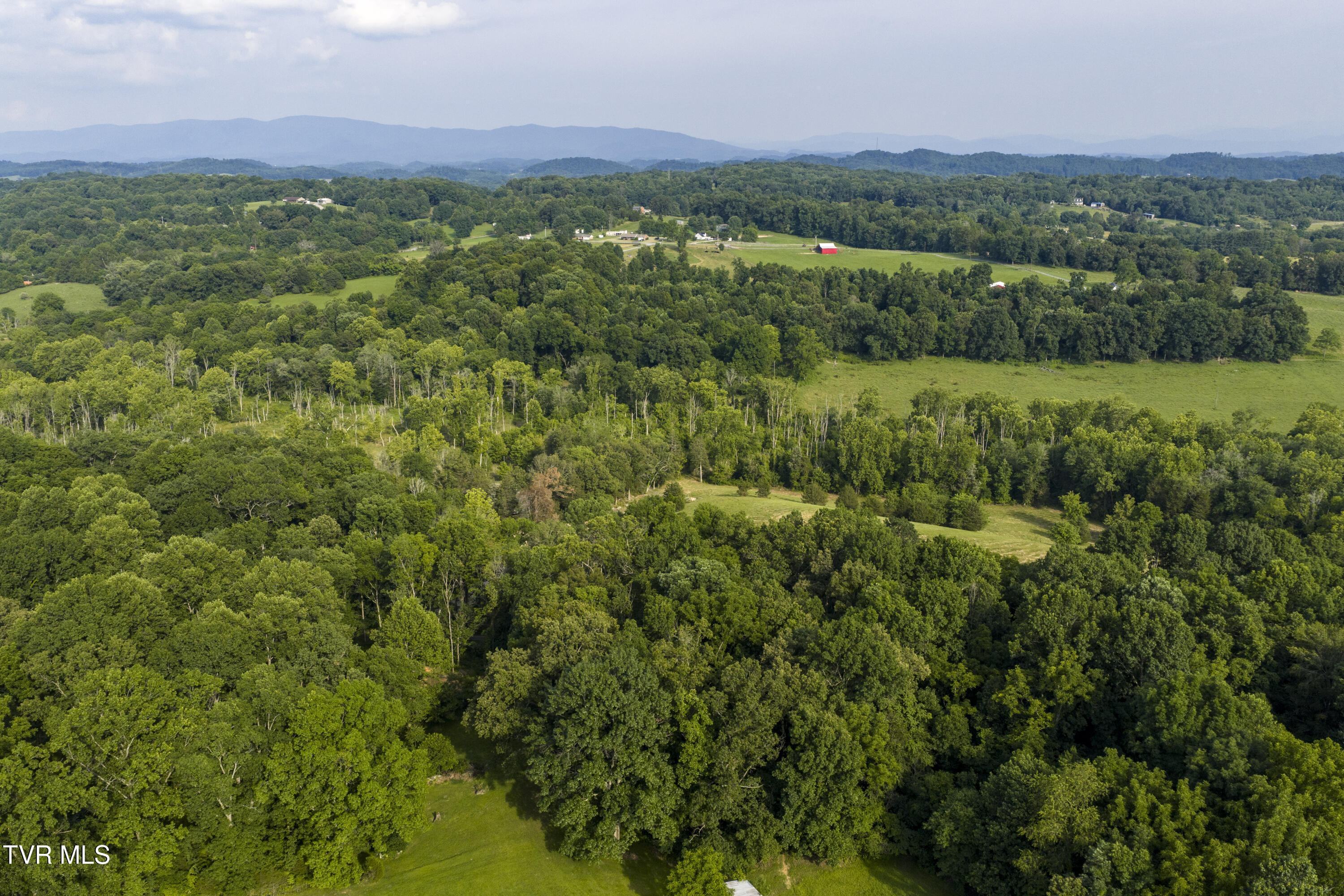Piney Flats, Tennessee, 37686, United States, ,Land,For Sale,1983828