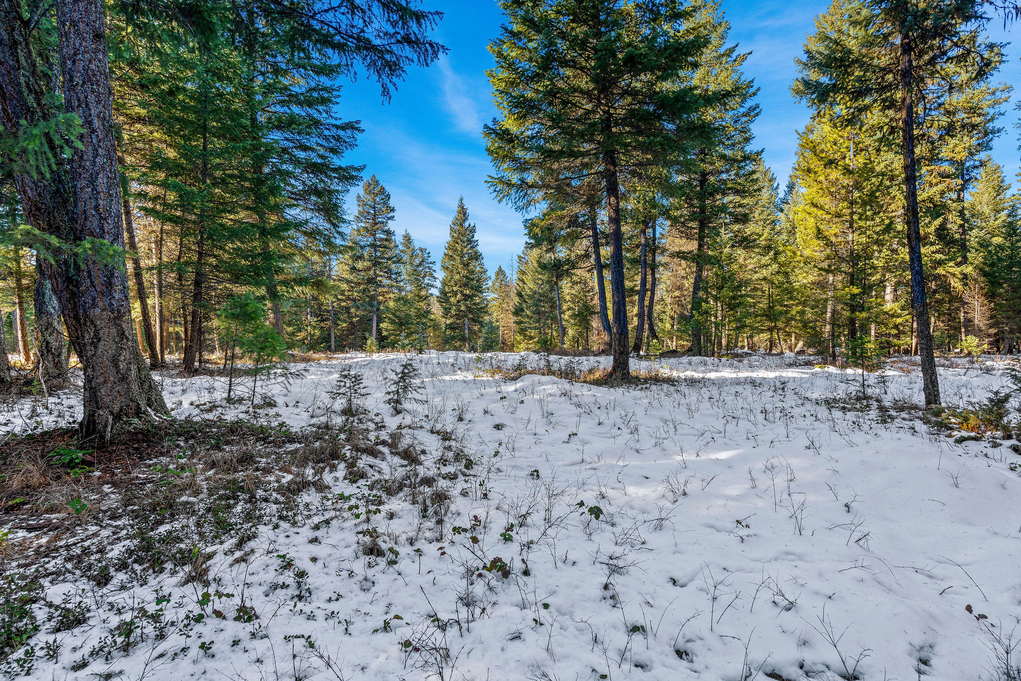   - 物件實景