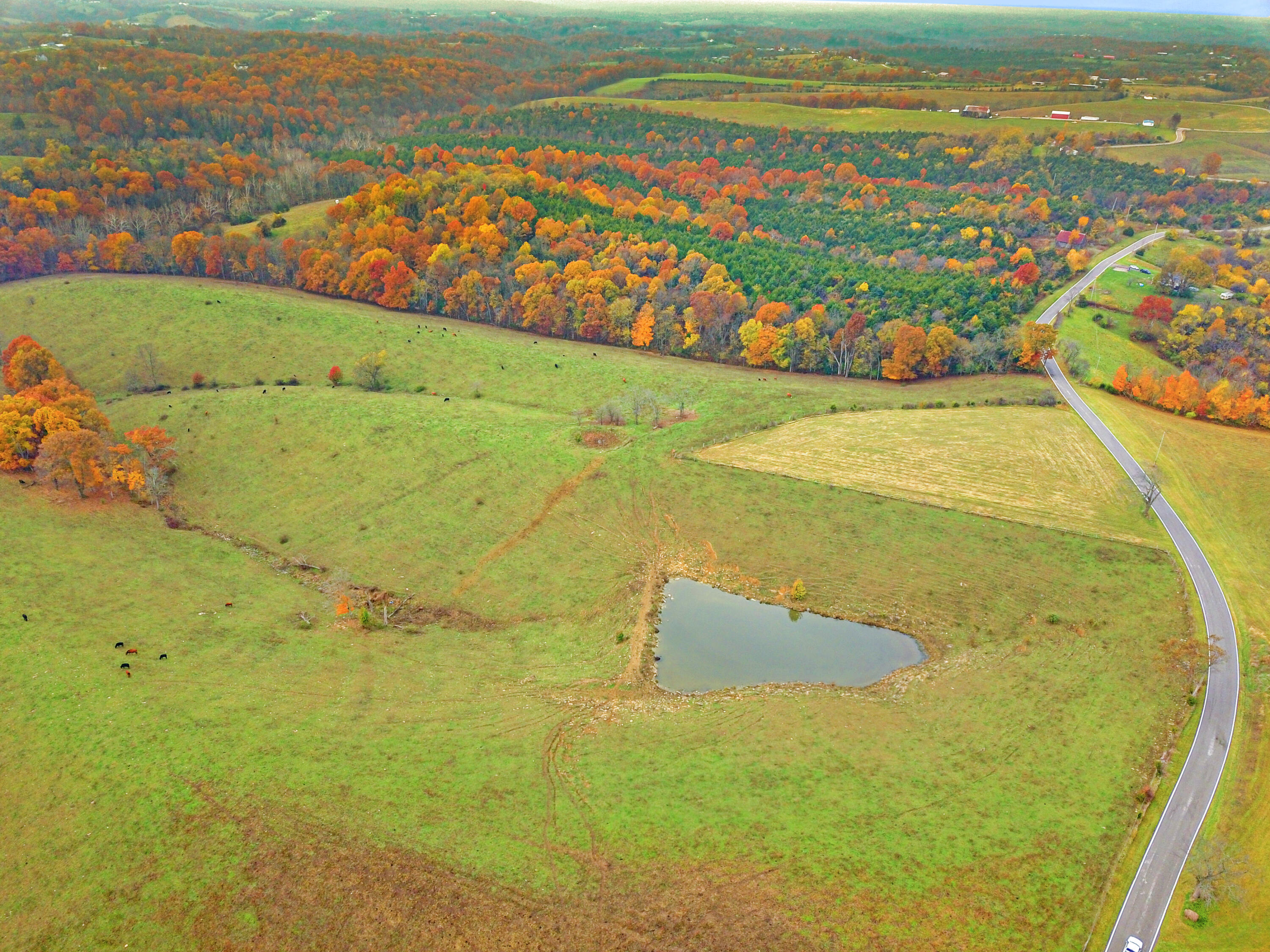Williamstown, Kentucky, 41097, United States, ,Land,For Sale,1995668