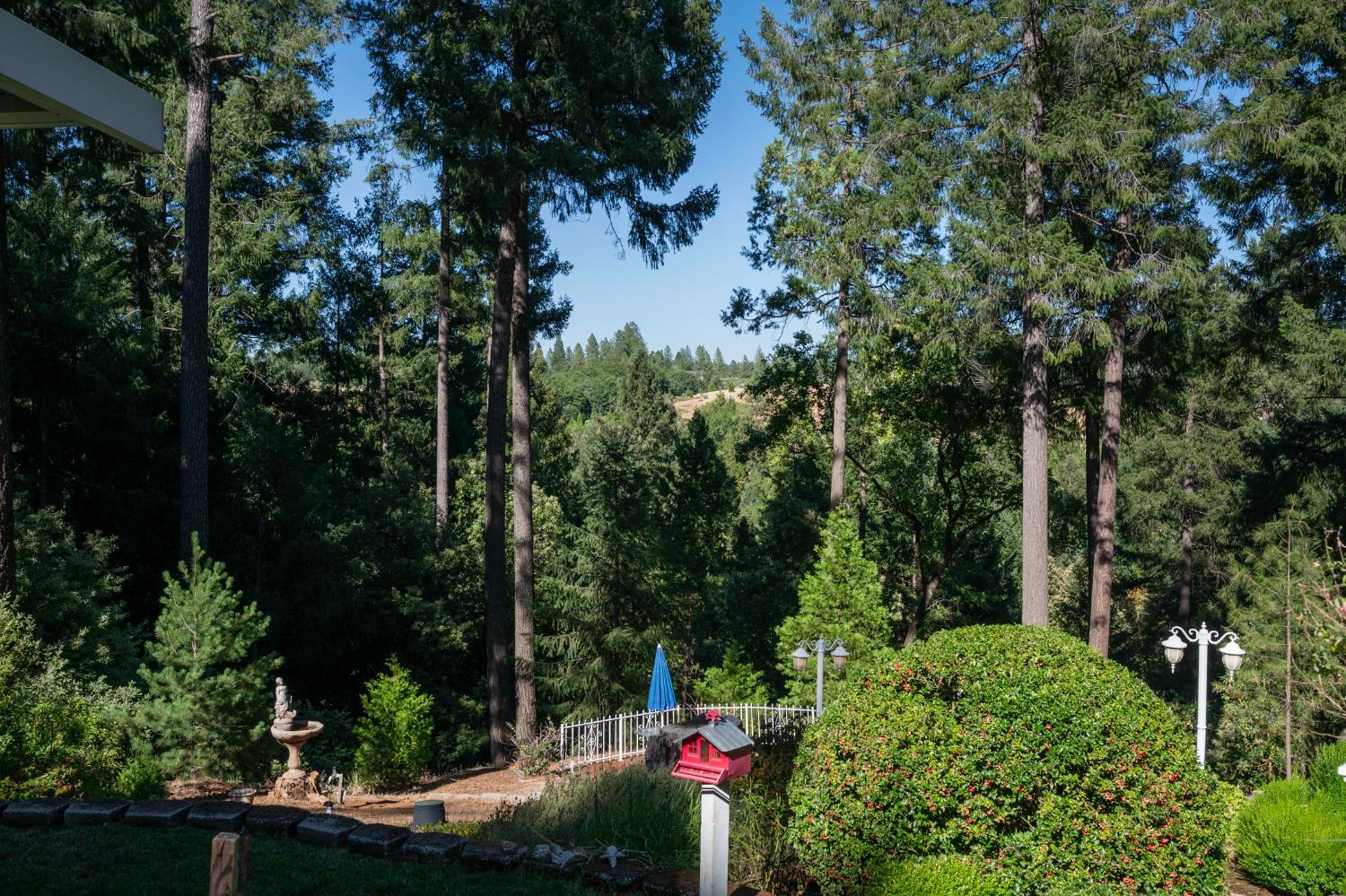 Camino, California, 95709, United States, 3 Bedrooms Bedrooms, ,4 BathroomsBathrooms,Residential,For Sale,1893476