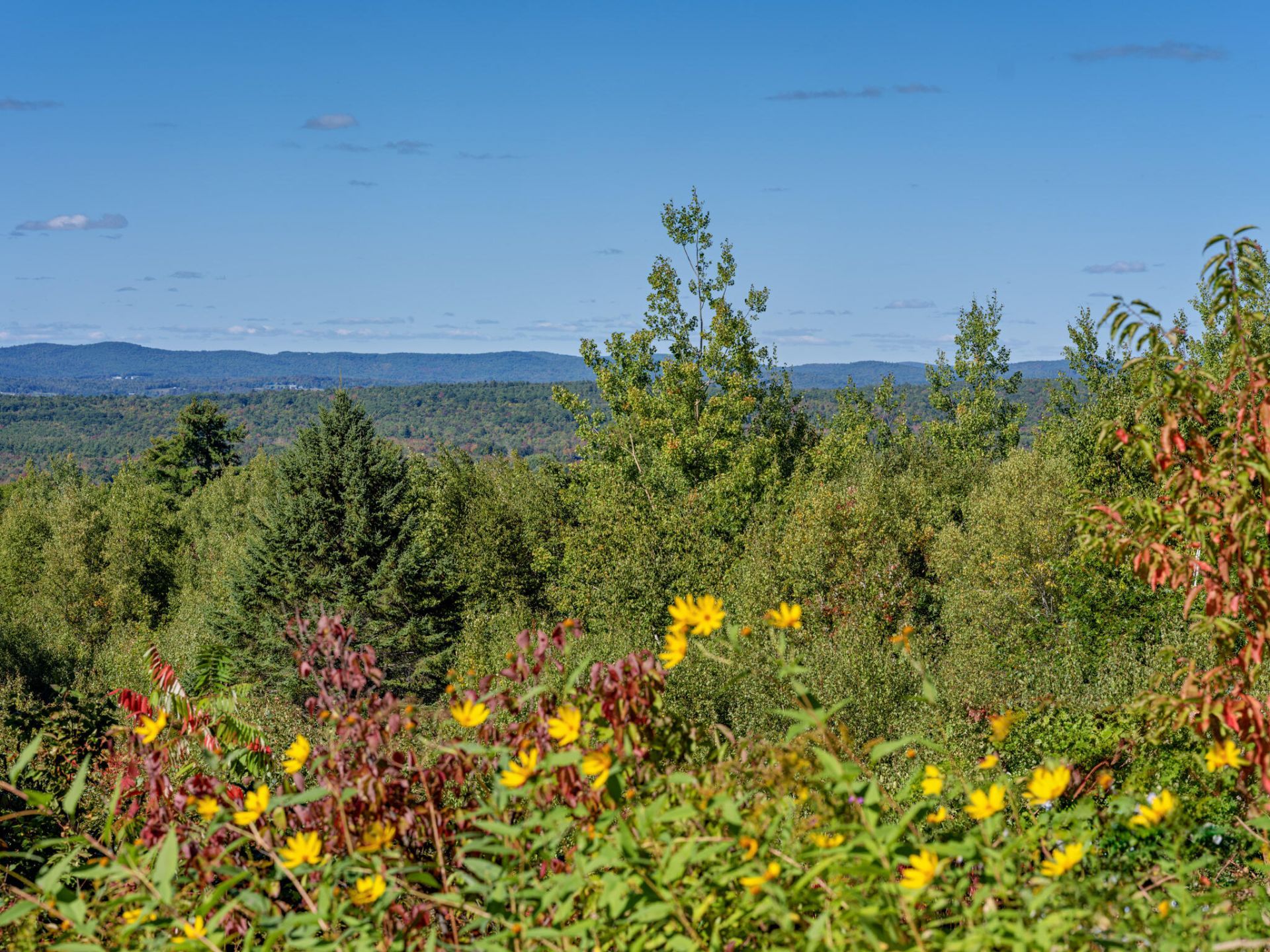 Lincolnville Ave, Searsmont, ME 04973 #1