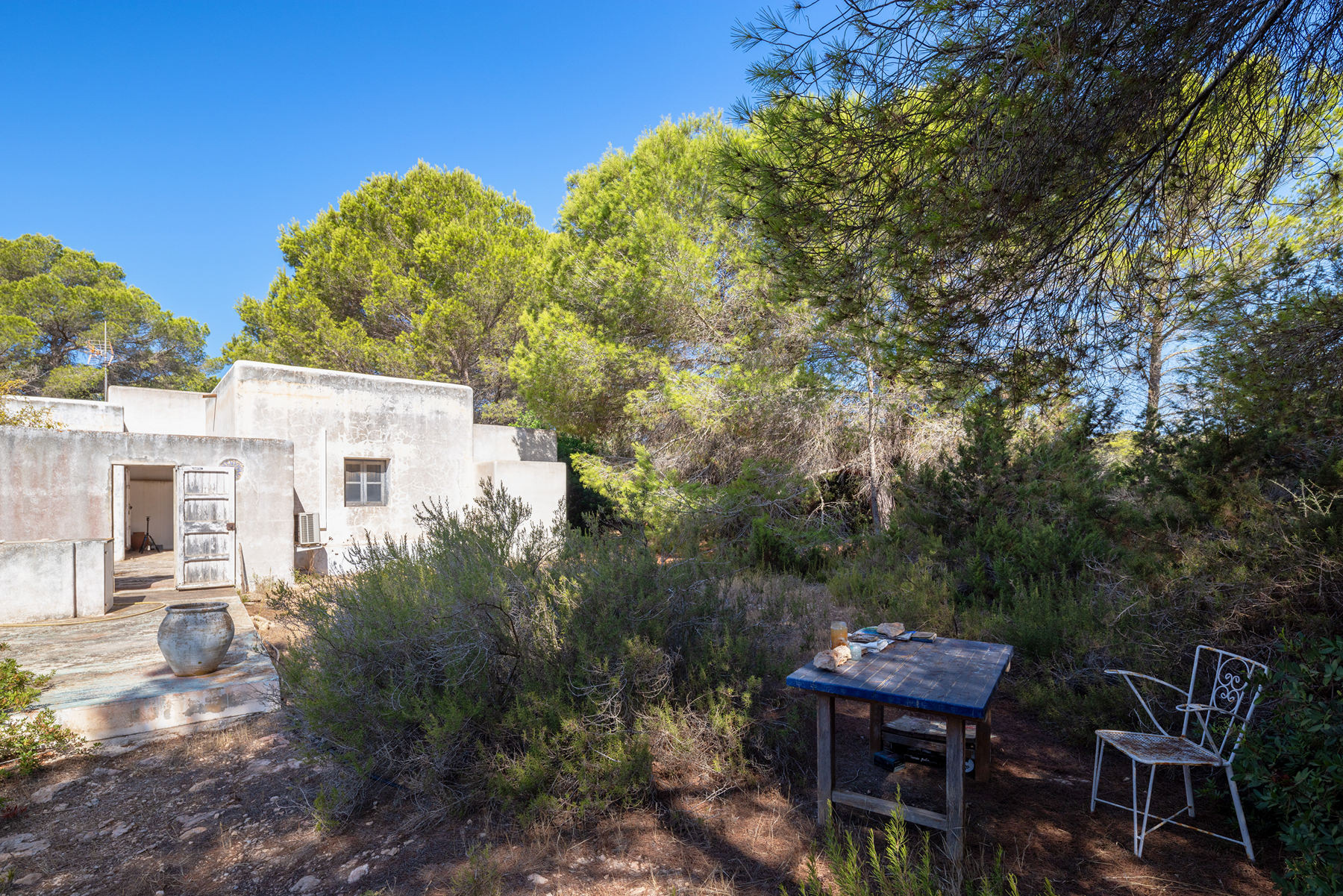  Country house to renovate in Formentera - 物件實景