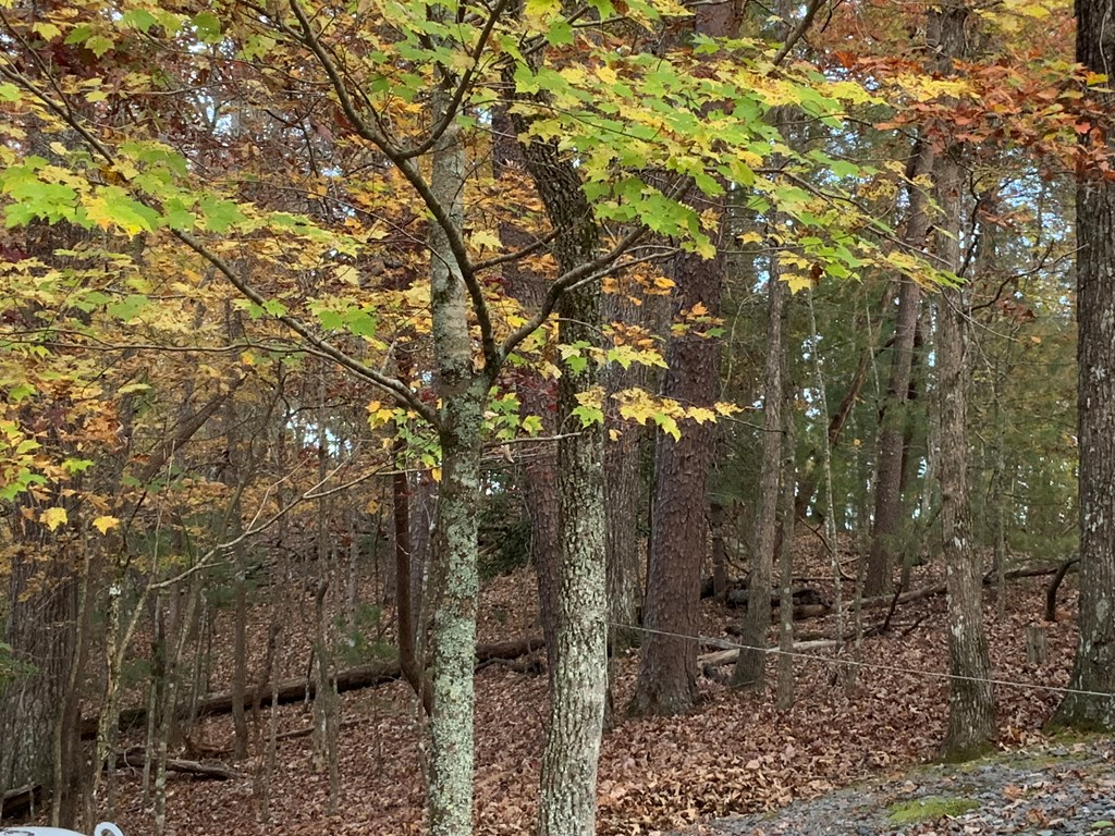 Ellijay, Georgia, 30540, United States, 3 Bedrooms Bedrooms, ,3 BathroomsBathrooms,Residential,For Sale,1859130